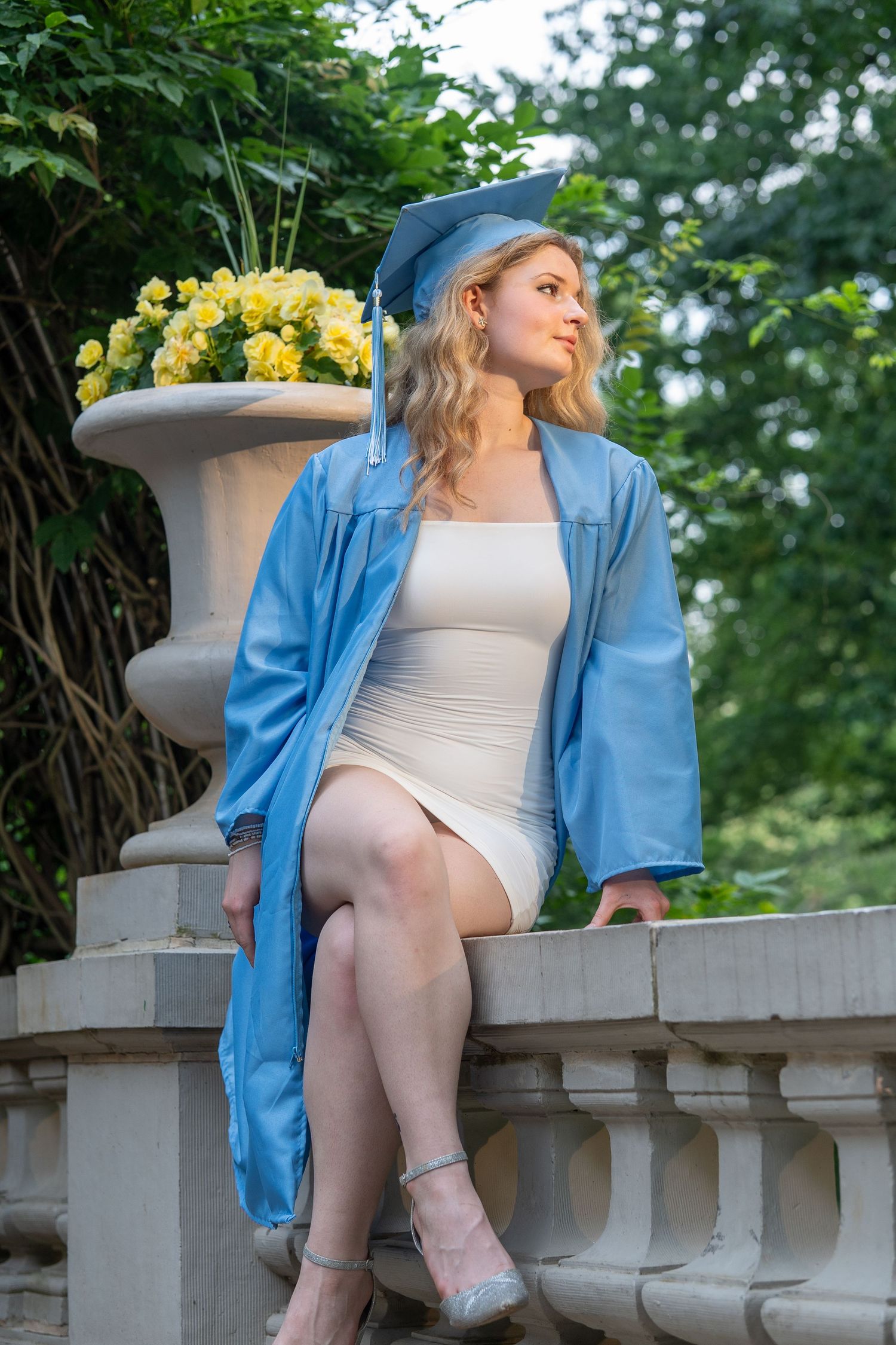 Female graduate in light blue cap and gown sitting on stone balustrade beside yellow flowers in garden. In Bel Air Maryland