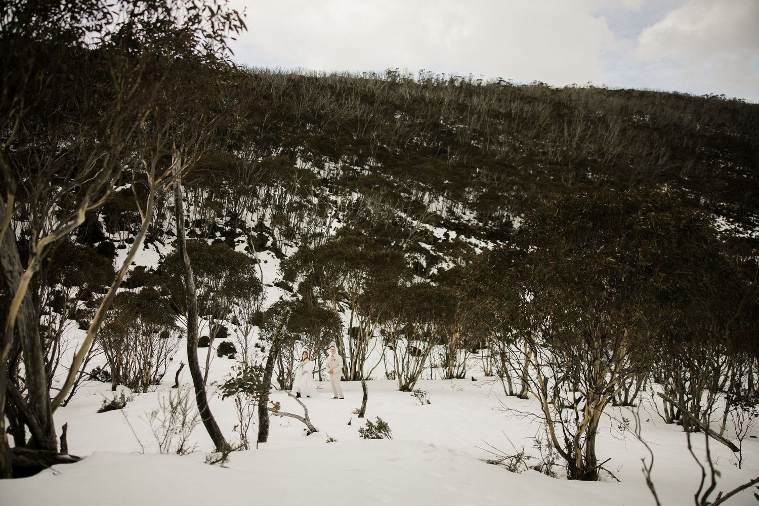 Intimate Kosciuszko National Park elopement in the Snowy Mountains by Queensland destination wedding photographer.
