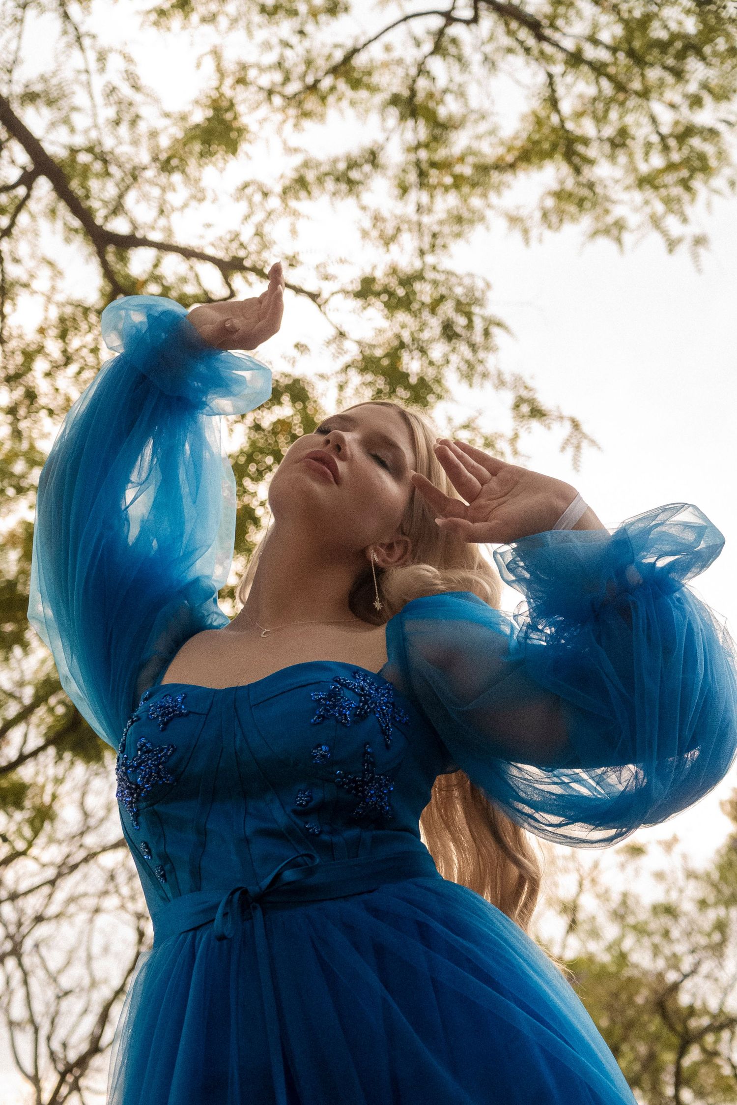 Blue dress, formal, photography, Ipswich, Limestone Park, kholo Gardens, affordable, editorial, formal photographer