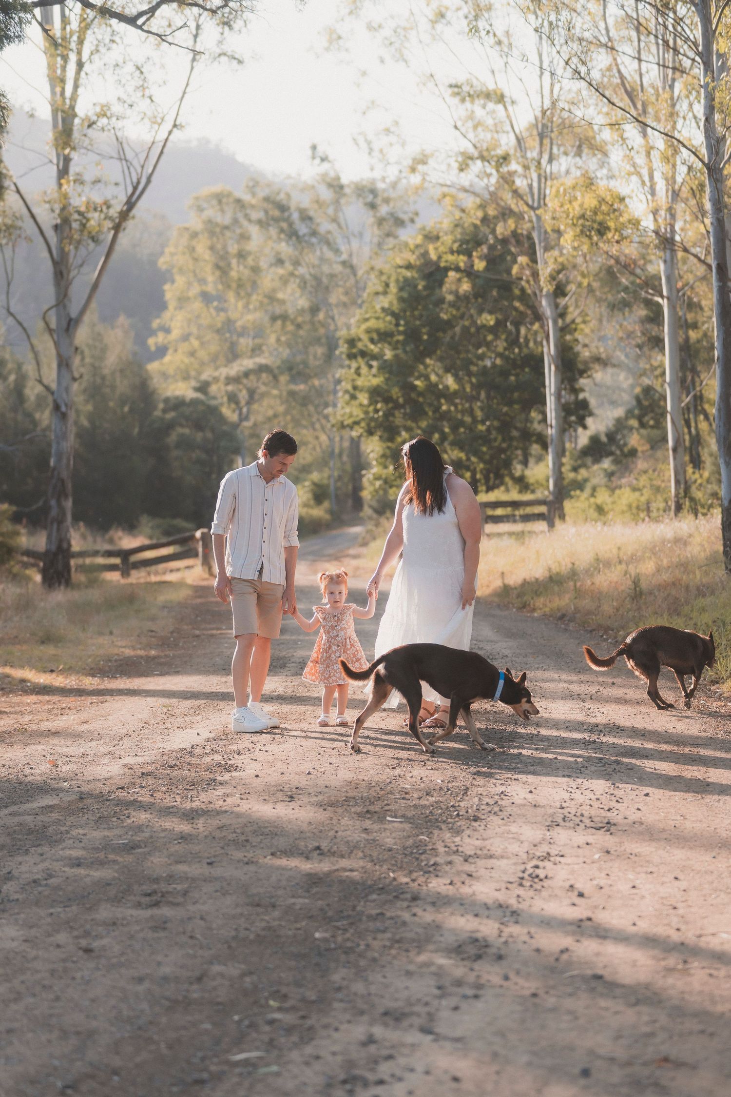 Country photo locations in the Lockyer valley dog friendly photographer Shae Imagery Family and wedding photographer Gatton Laidley Surround