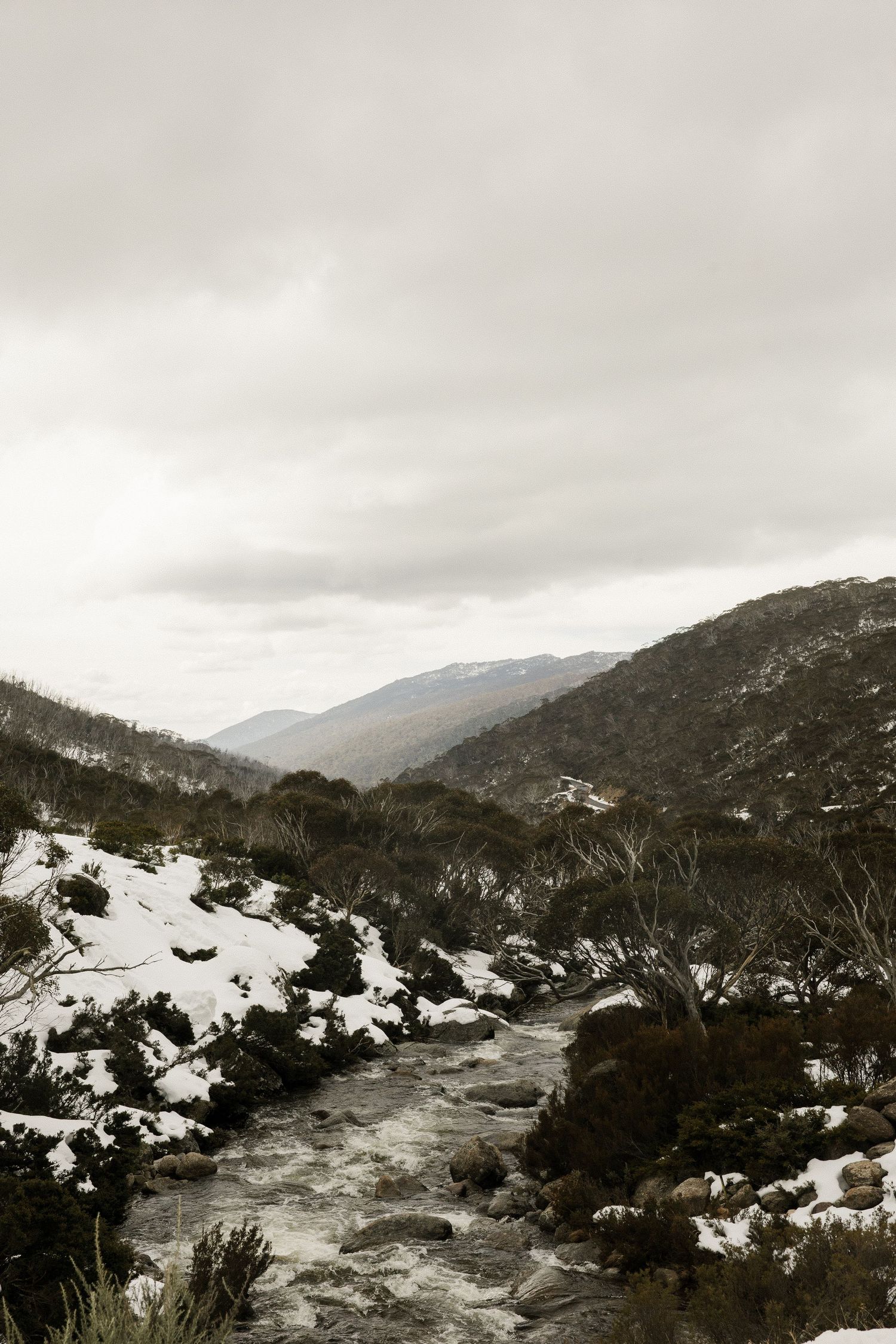 Snow ceremony at Dead Horse Gap, Snowy Mountains, photographed by Lockyer Valley wedding and elopement photographer.