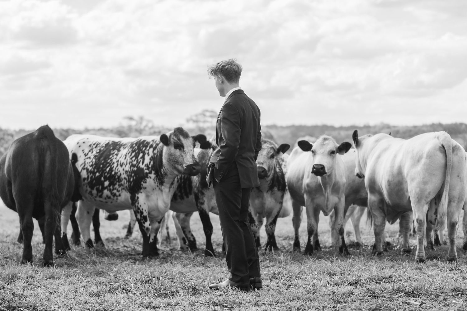 pre formal portraits country cattle - editorial photography by shae imagery toowoomba, Lockyer Valley and ipswich.
