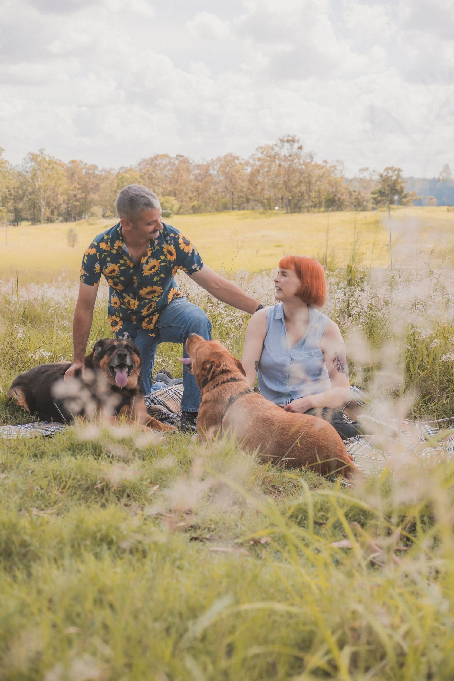 Couple with their dogs in open field near Ipswich candid couples photography. No stress photograph by Shae Imagery Ipswich photographer