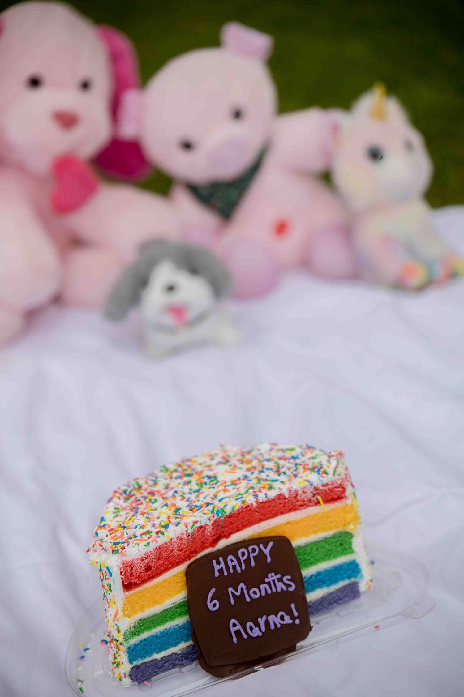 Rainbow layered cake with Happy 6 Months Aarna message surrounded by plush toys.