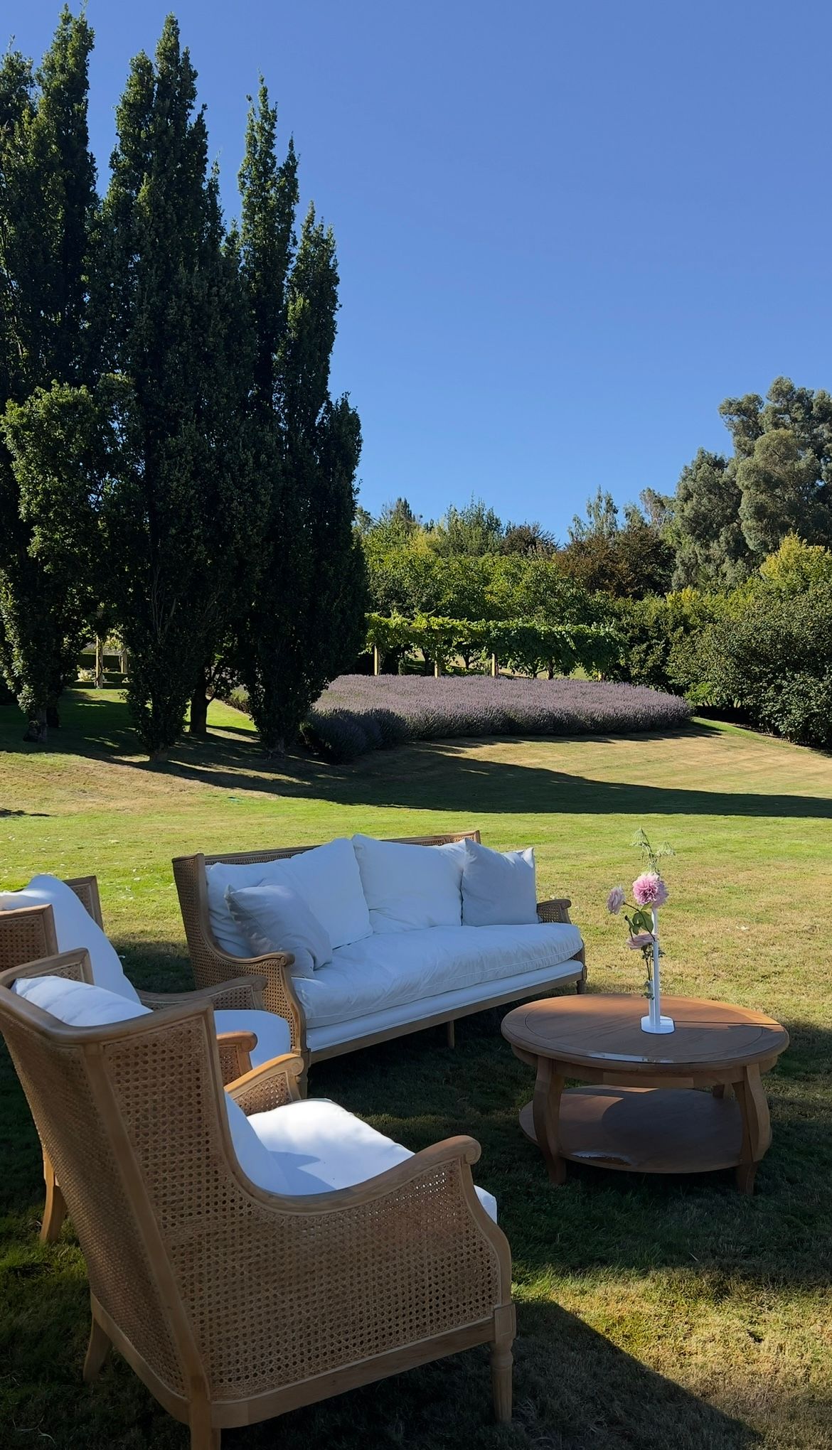 Elegant outdoor wicker patio furniture set with white cushions arranged on a sunny lawn with tall trees in the background.