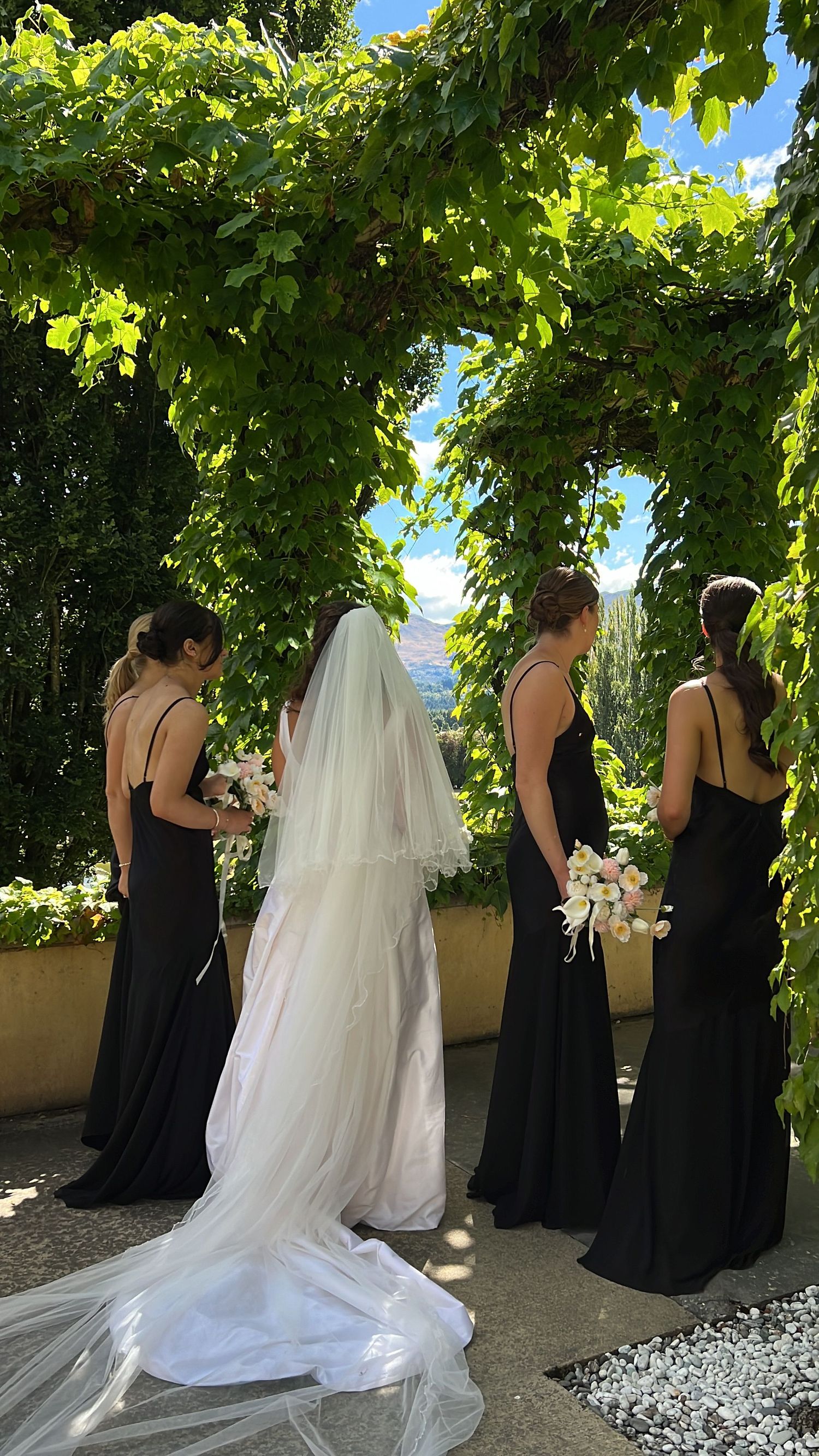 Wedding party in black dresses and white gown posing under a vine-covered pergola. content creation in new zealand