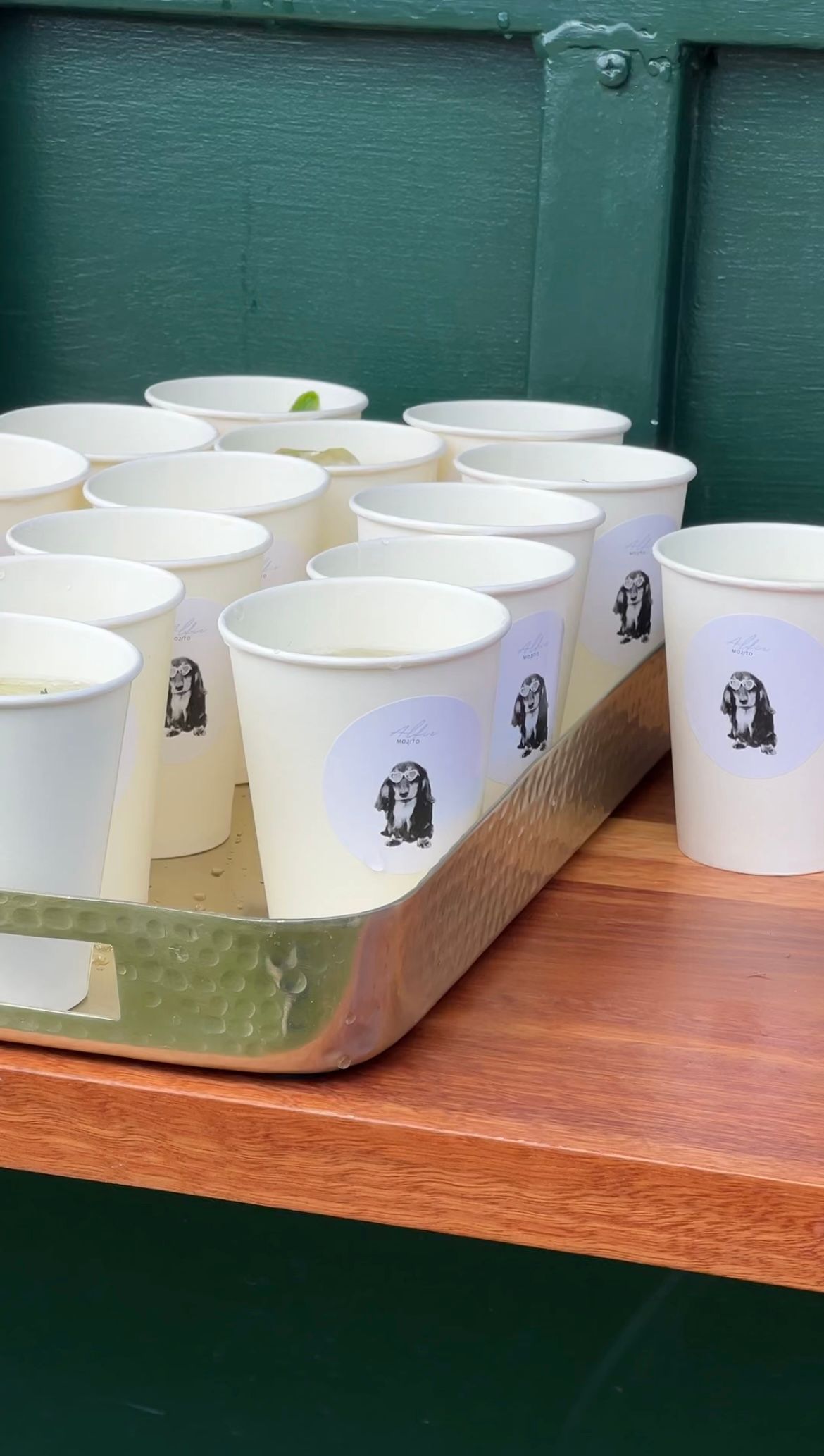 Row of white paper bowls with printed logos lined up on a wooden surface against a green wall.