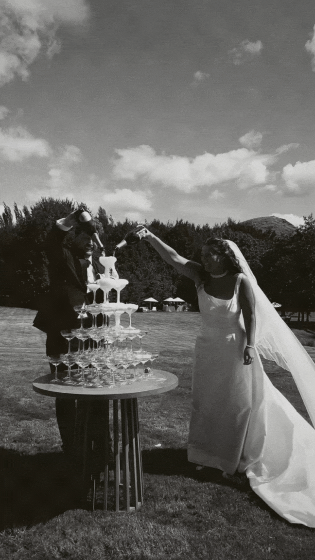 content creation in new zealand gif champange