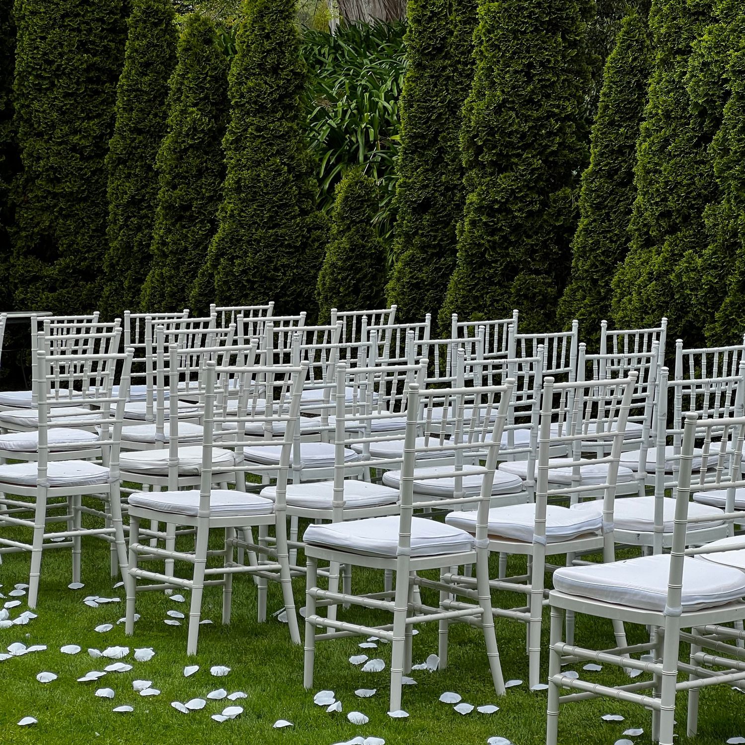 Rows of white chairs arranged on lawn with rose petals scattered for wedding ceremony.