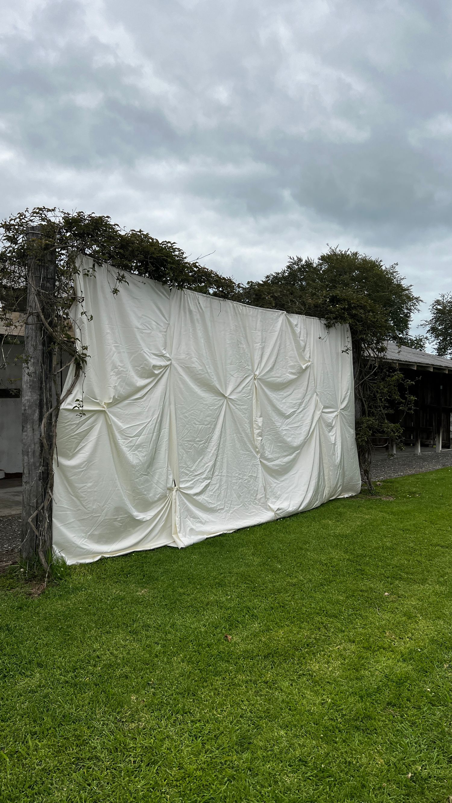 Long white fabric draping creating an elegant outdoor wedding backdrop on a green lawn.