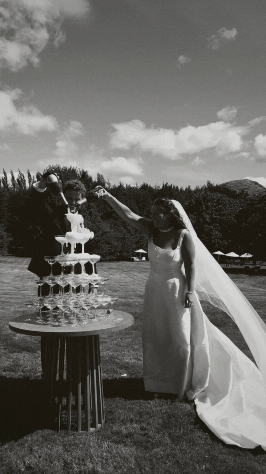 content creation in new zealand gif