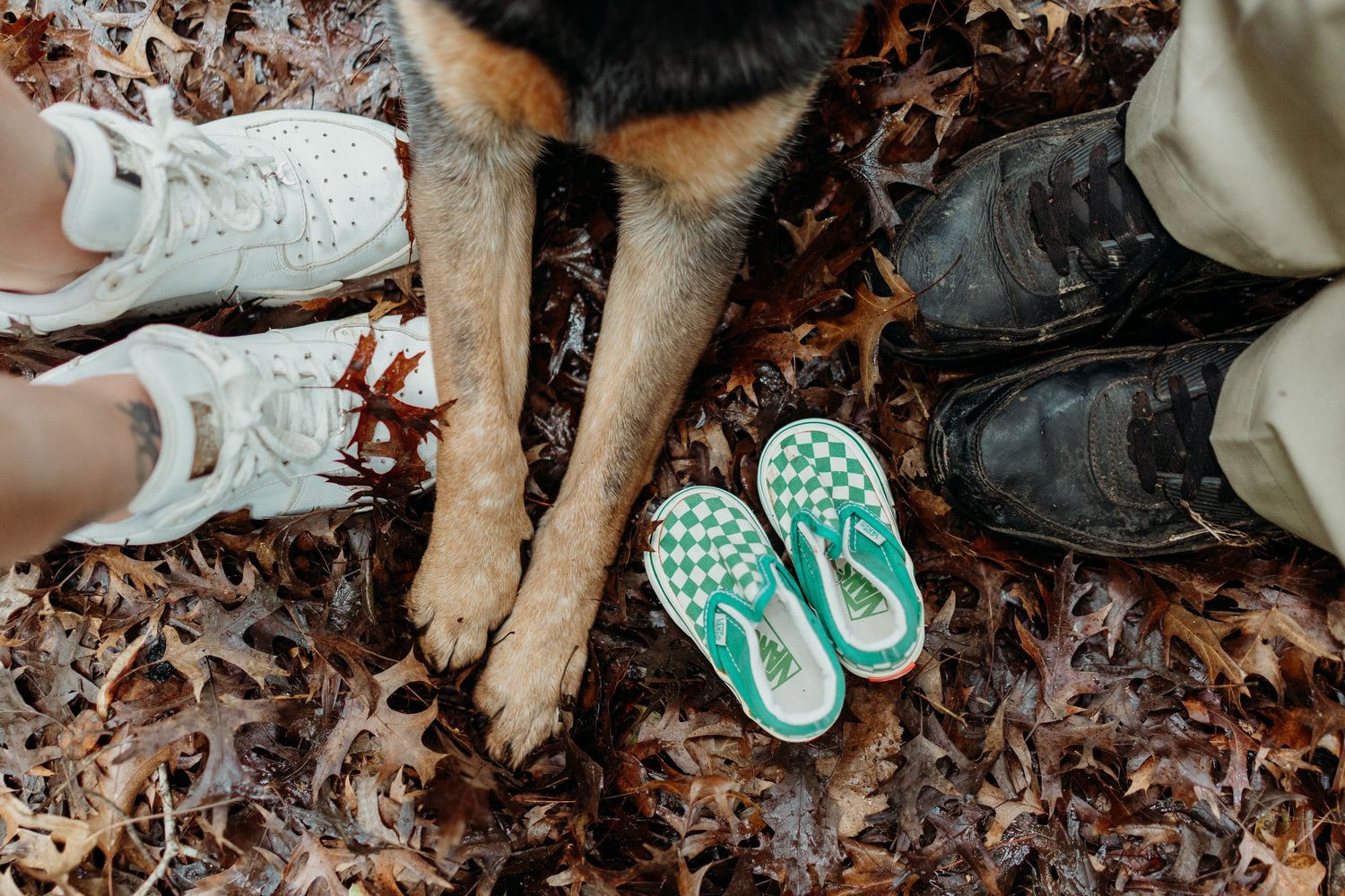 Two people and a dog stand on autumn leaves, with small green checkered Vans shoes placed between them.