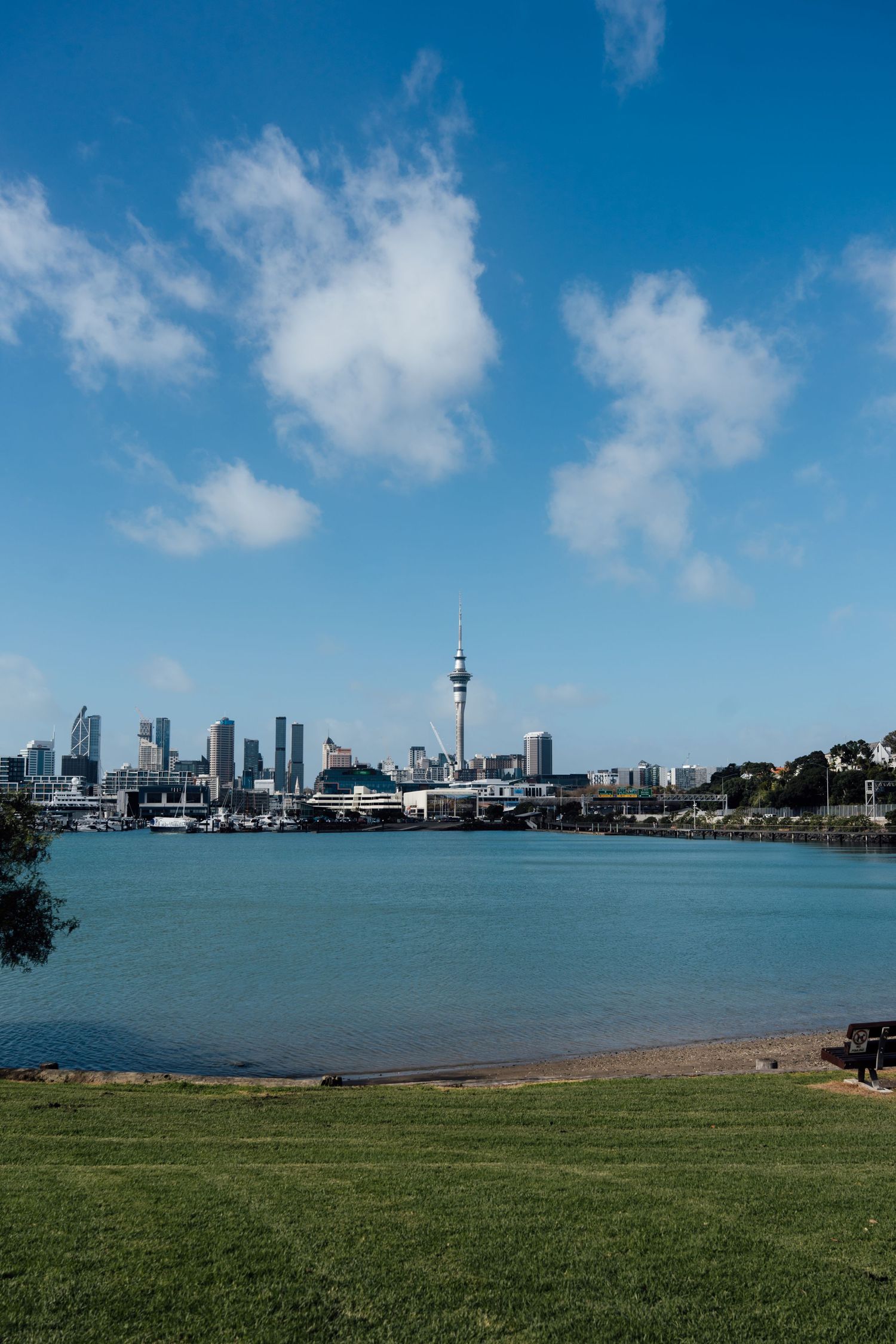 Auckland city skyline with Sky Tower viewed across calm harbor waters from green park on sunny day.