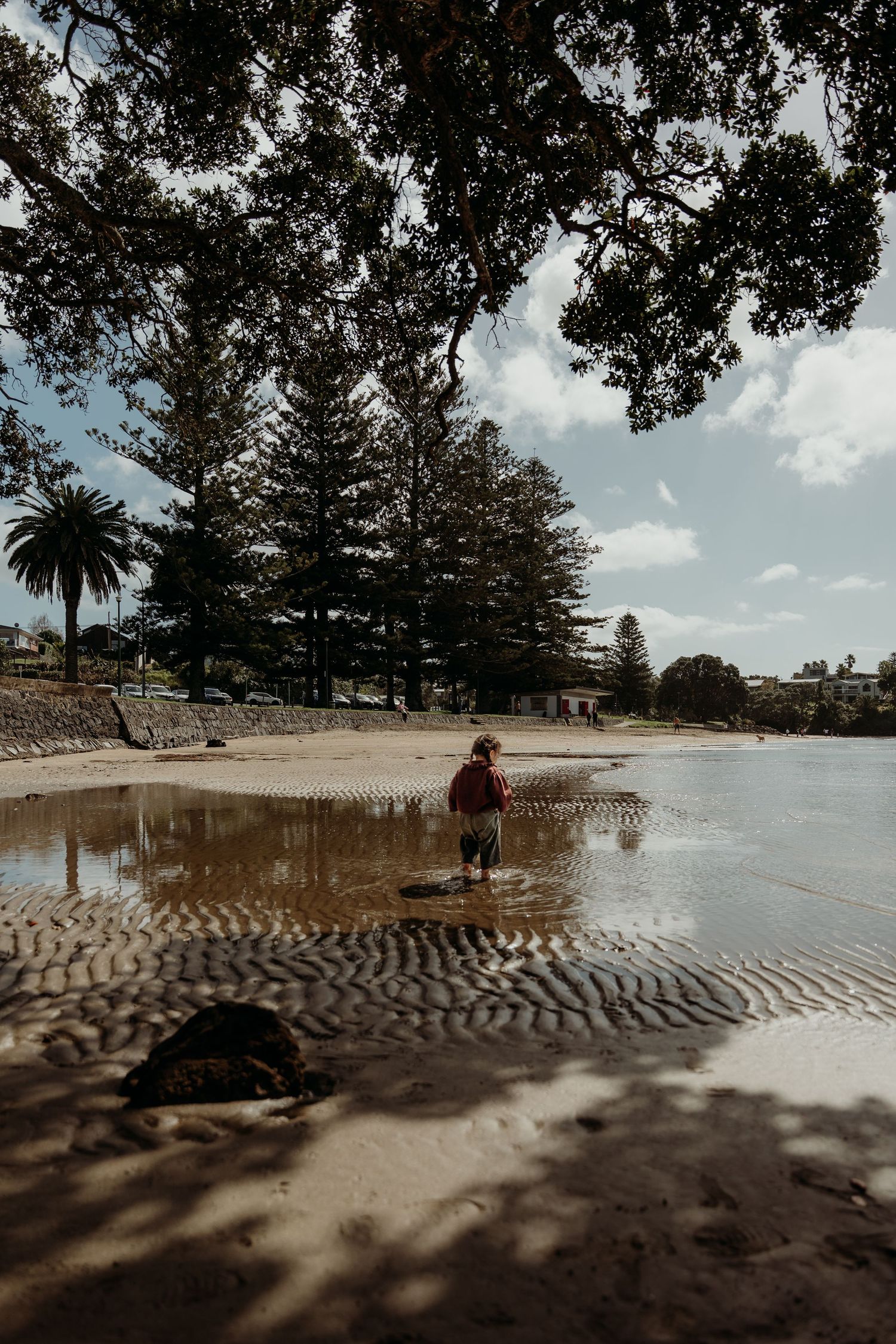 Child playing in shallow water on a sandy beach surrounded by tall pine trees and a cloudy sky.