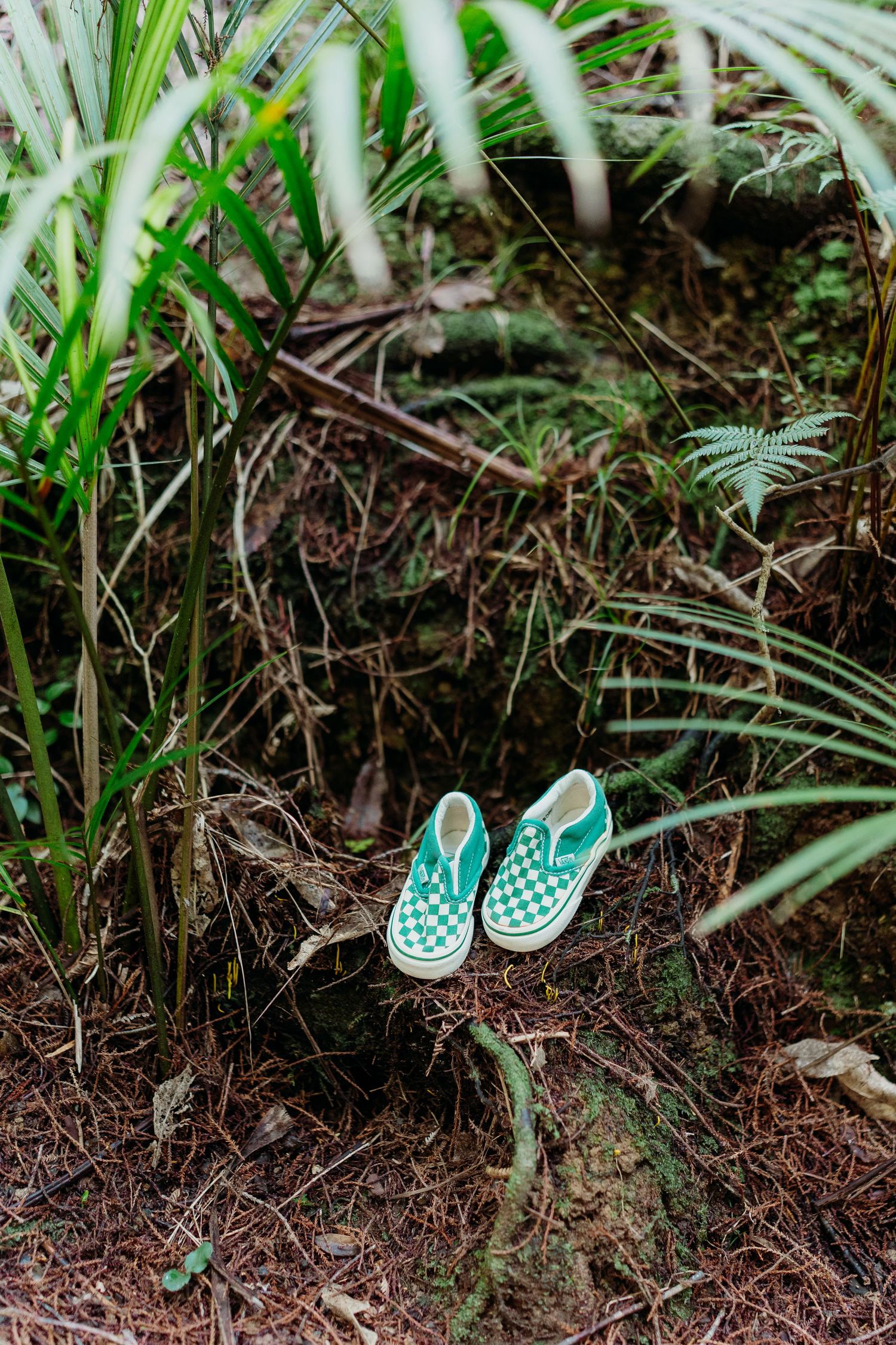 Green and white checkered Vans slip-on sneakers placed on forest floor surrounded by tropical ferns and palm leaves.