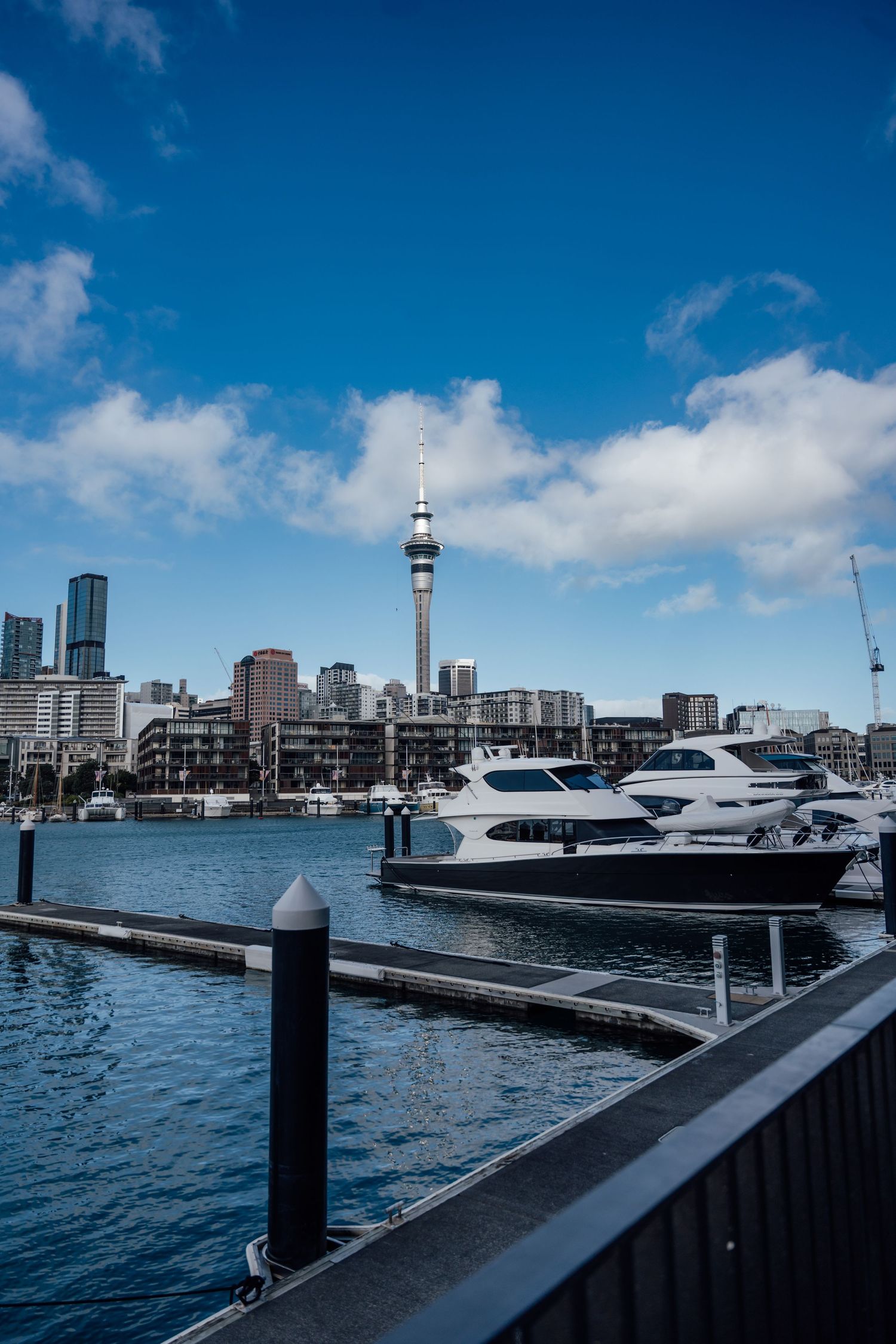 Yachts docked at Auckland marina with Sky Tower and city skyline.