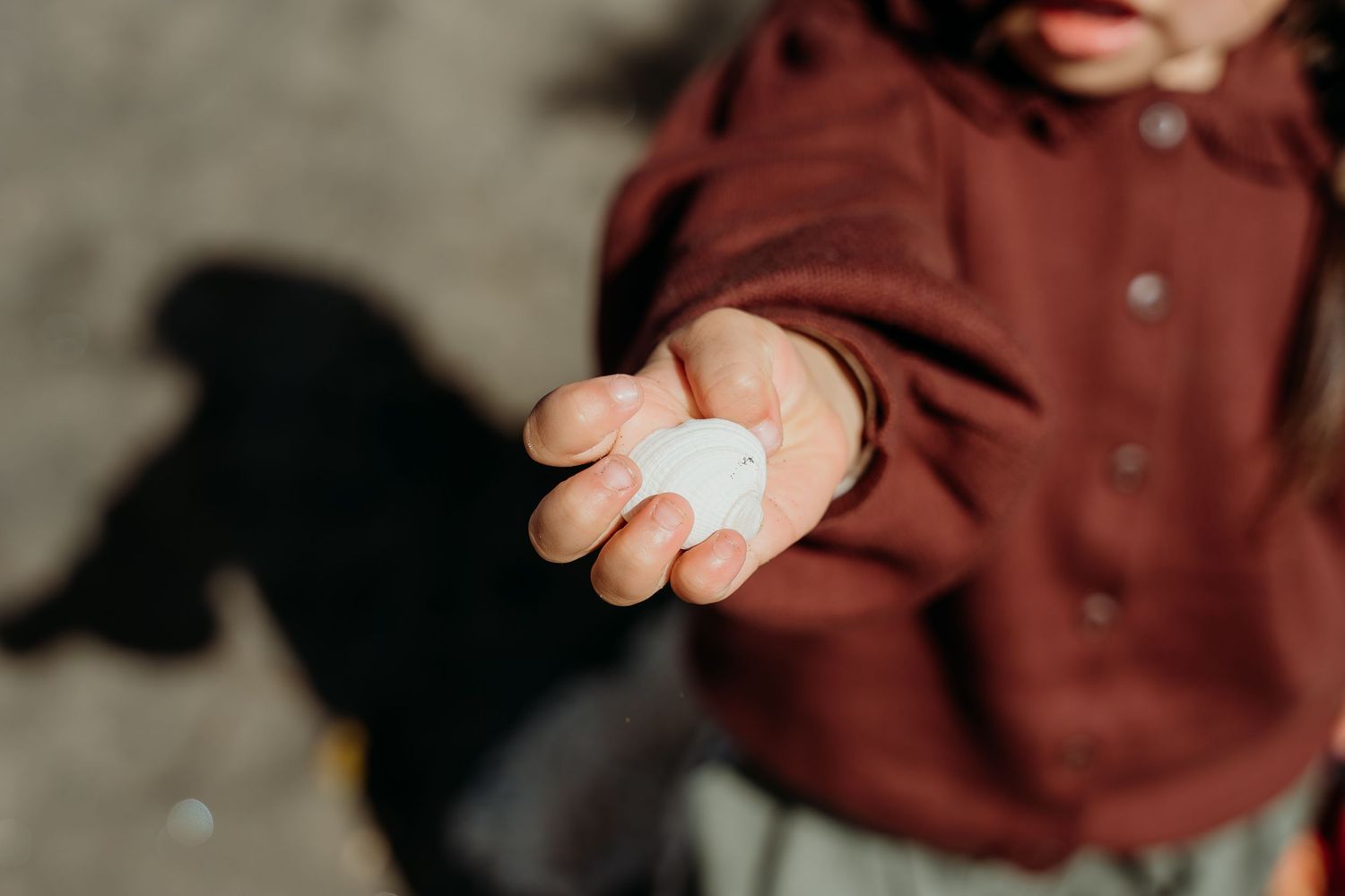 Child in red sweater holding a small white rock in their outstretched palm outdoors.