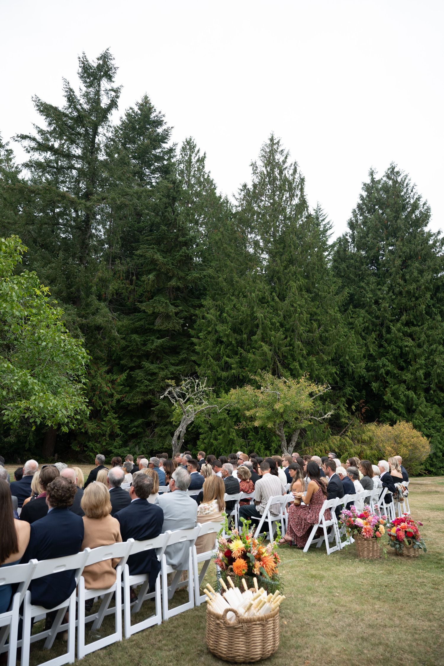 Guests seated at an outdoor wedding ceremony surrounded by tall evergreen trees and colorful floral arrangements.