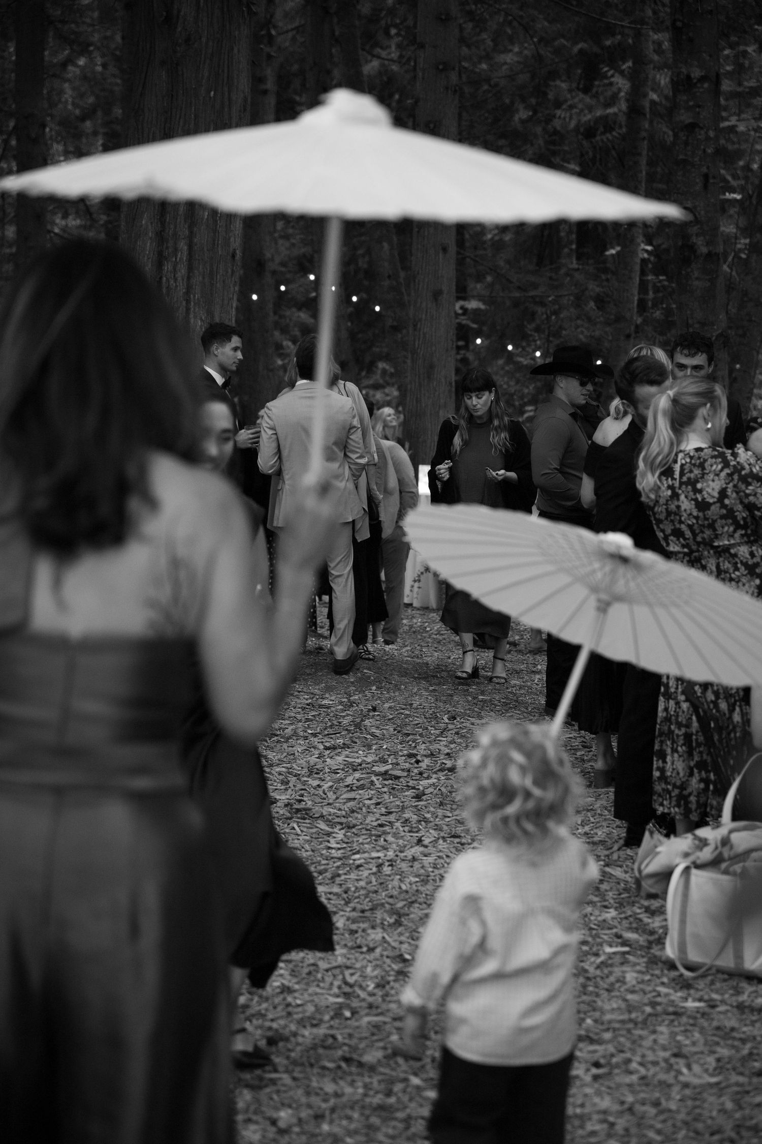 Black and white photo of wedding guests walking through a forest path with parasols and string lights.