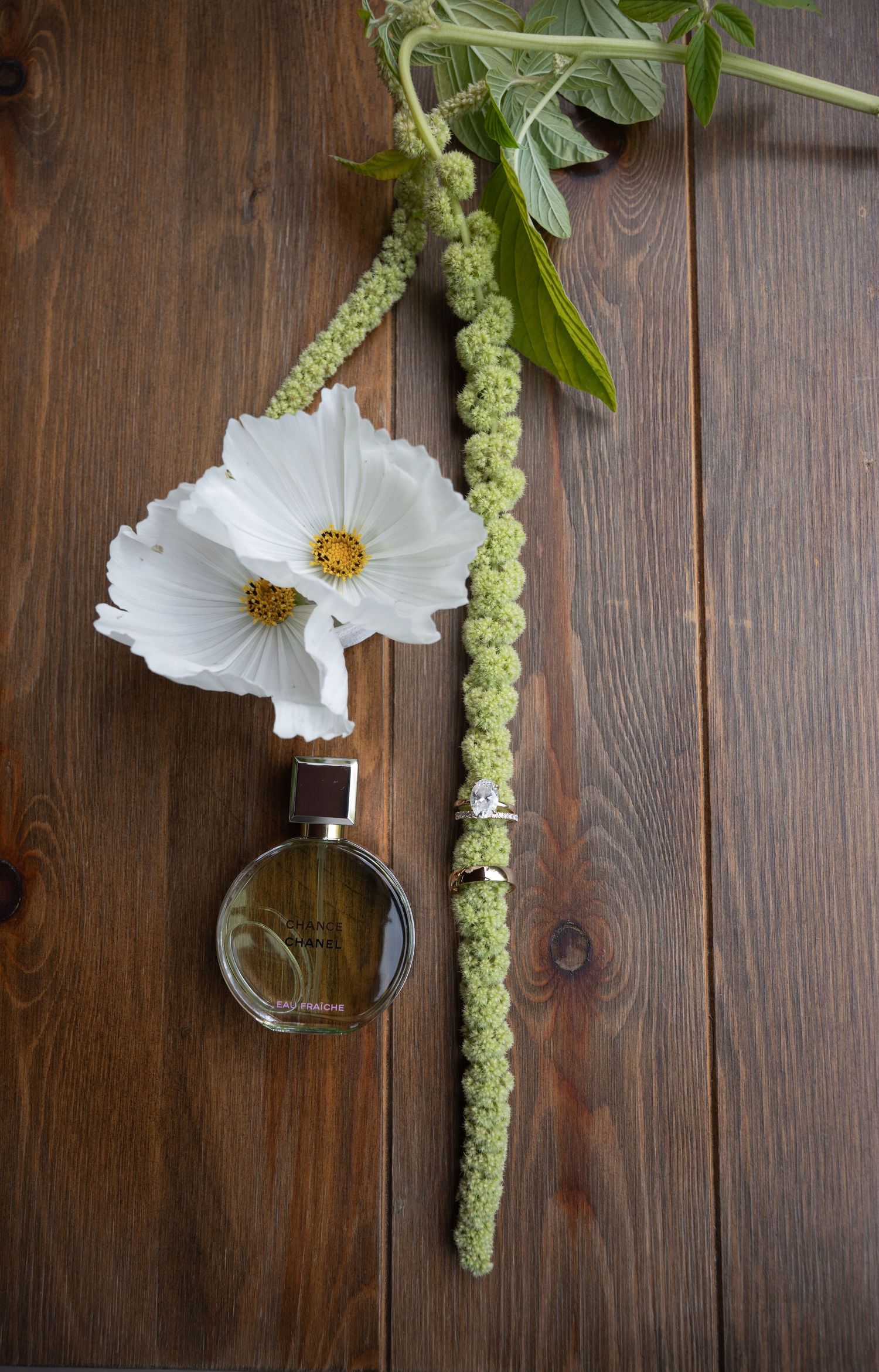 White cosmos flower with perfume bottle and ring on rustic wood background.