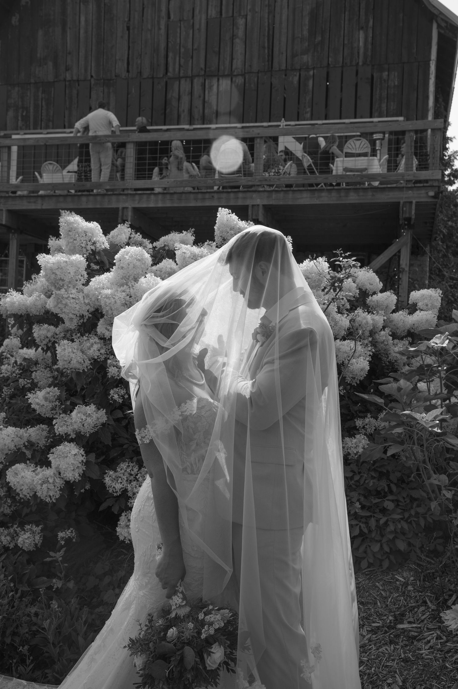 Black and white photo of a bride and groom kissing under a flowing veil, surrounded by white hydrangeas near a rustic barn.