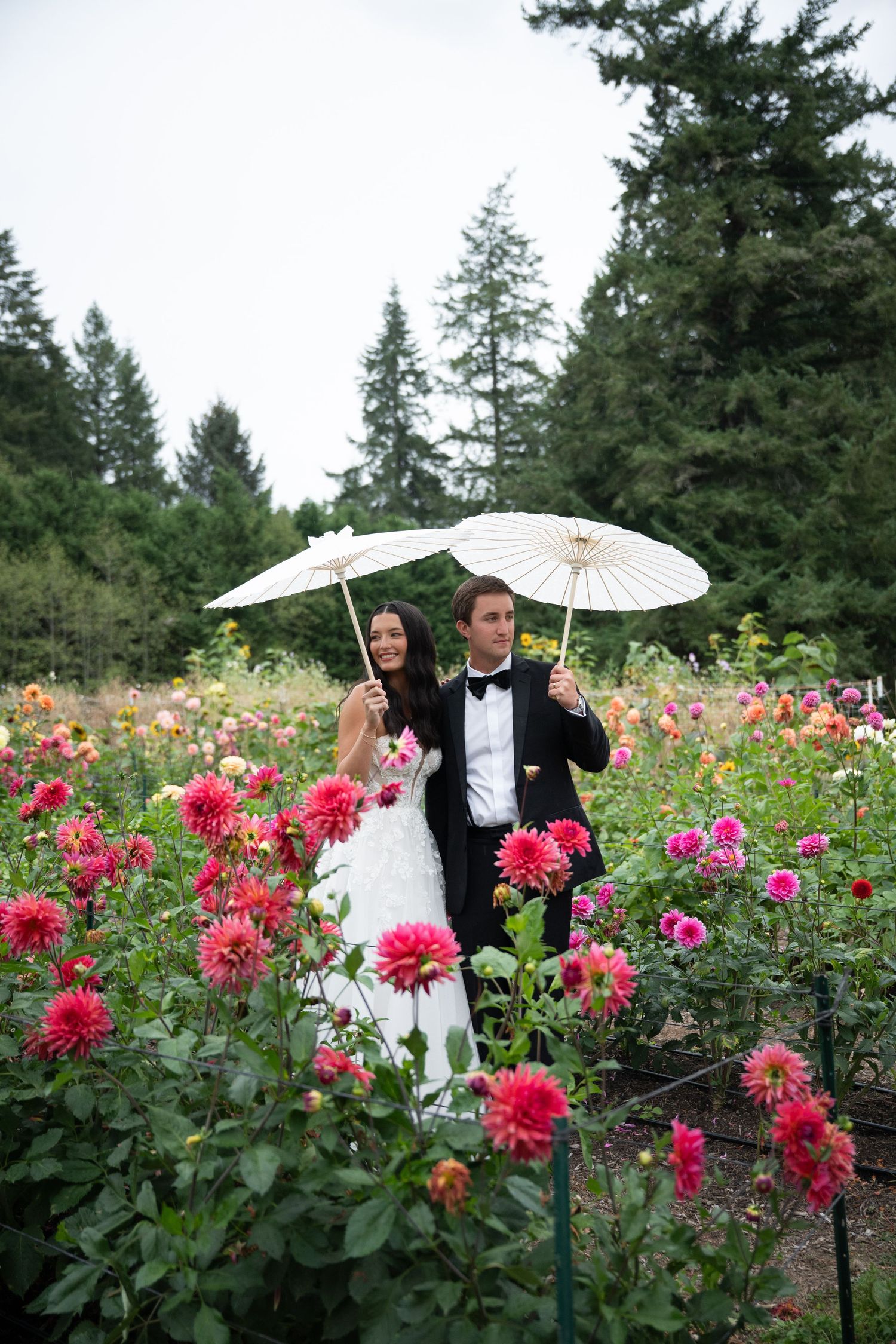 Bride and groom holding white parasols while standing among vibrant pink dahlia blooms in a garden setting.