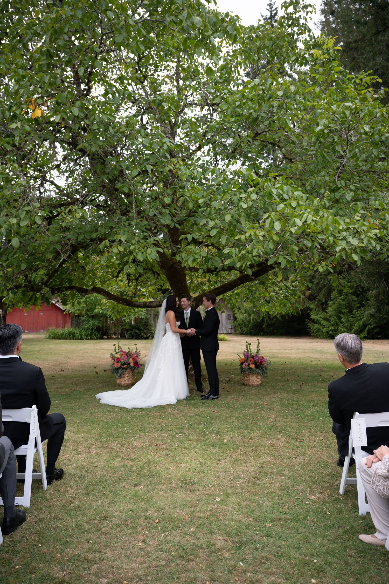 Outdoor wedding ceremony under large tree with bride, groom, and officiant on green lawn.