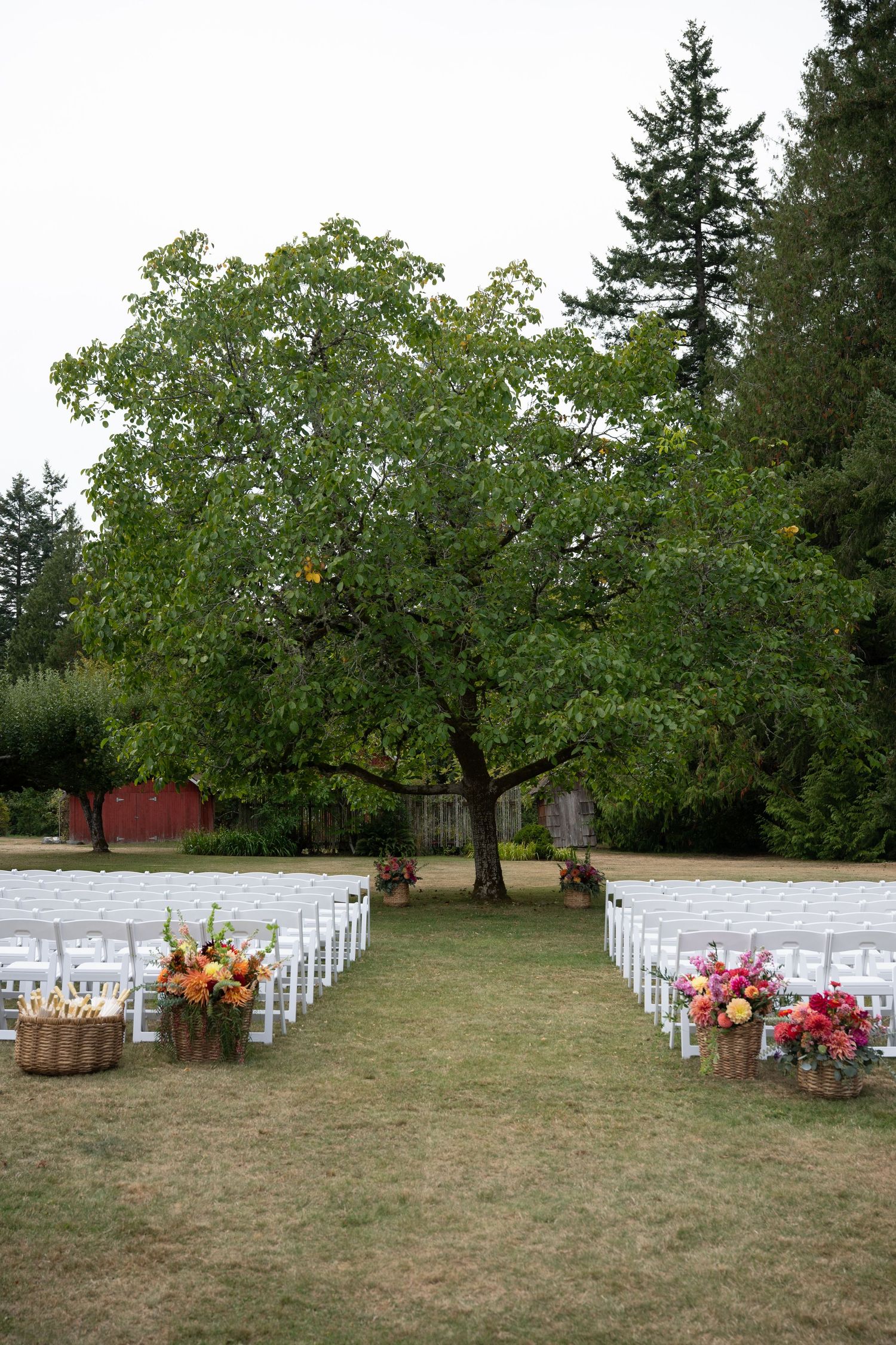 Outdoor wedding ceremony setup with white chairs, colorful floral arrangements in baskets, and a large tree as backdrop.
