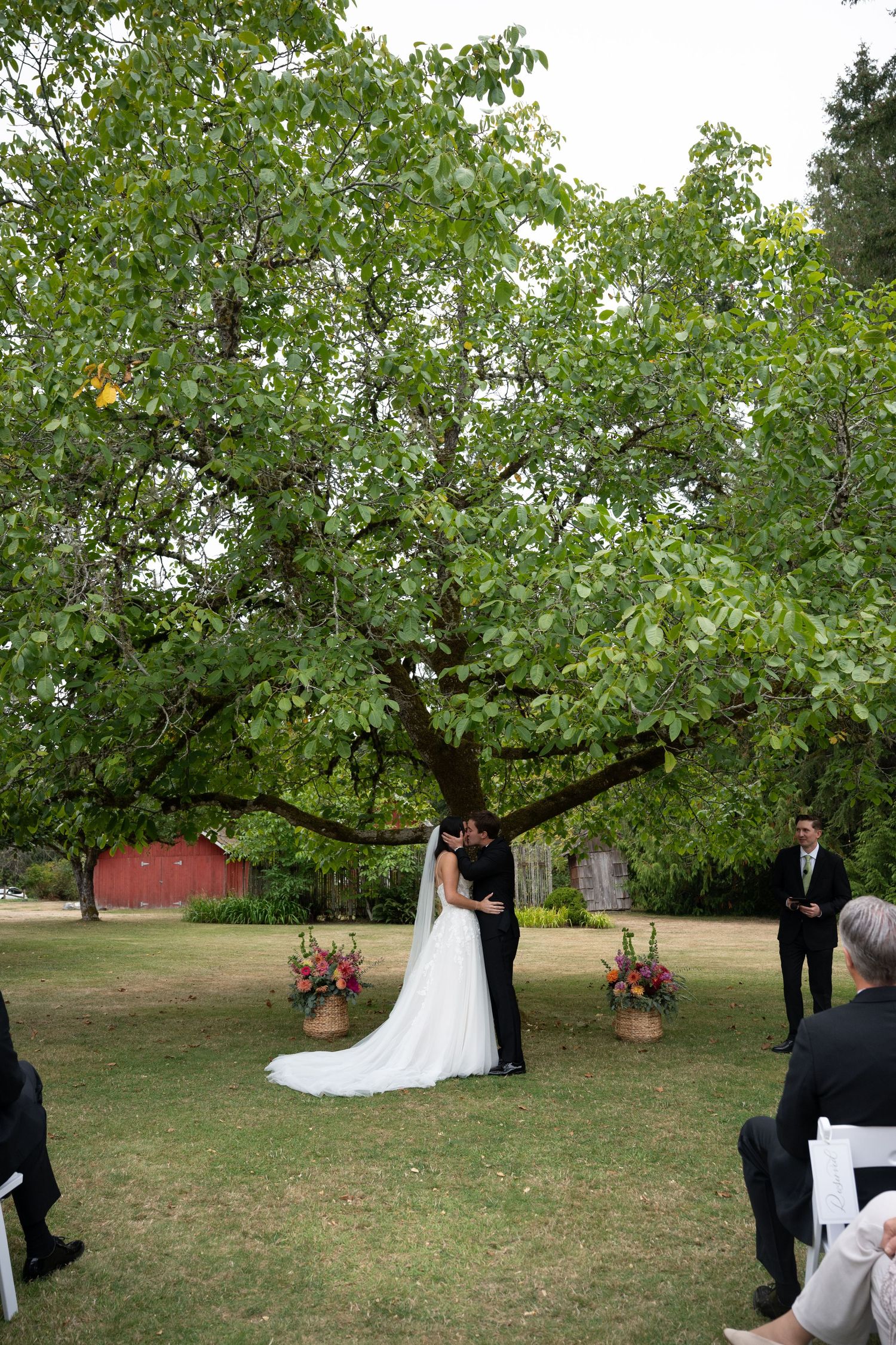 Bride and groom share first kiss at outdoor wedding ceremony beneath a large tree.