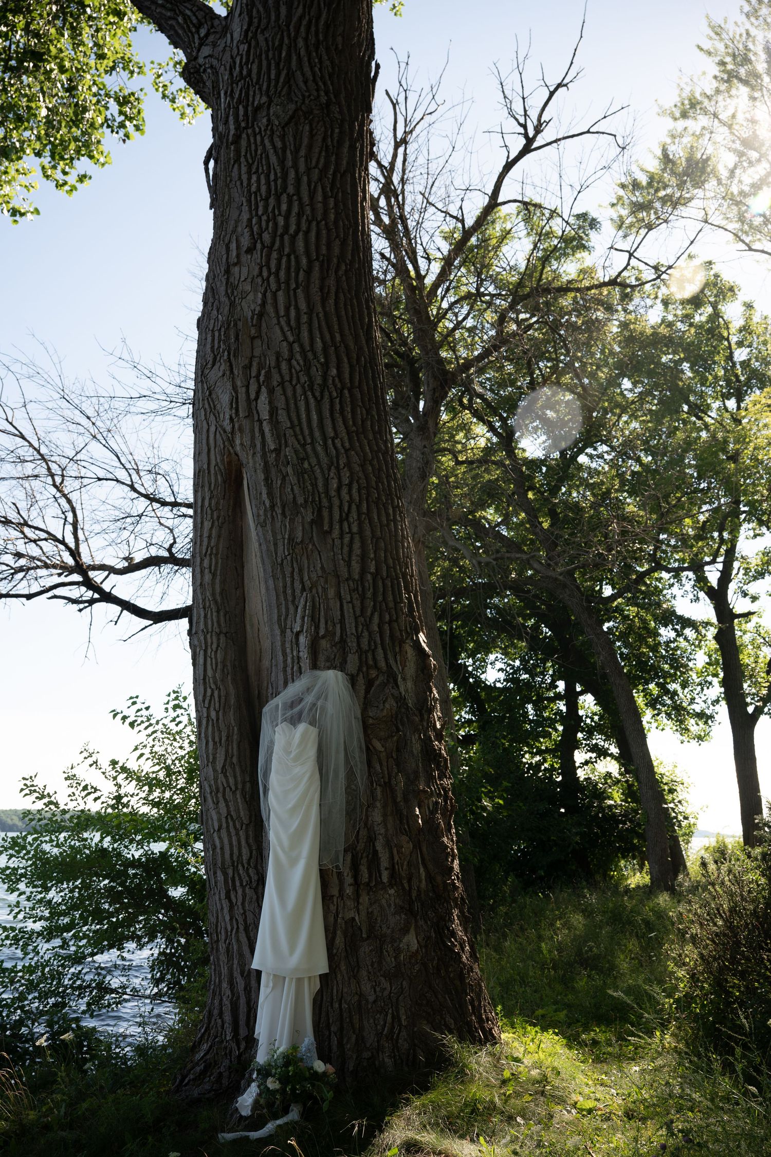 A white wedding dress hanging on a large tree trunk near a lakeside with lush green trees in the background.