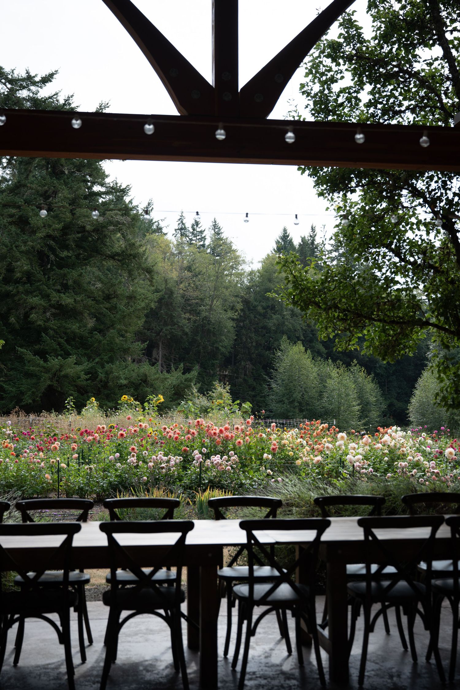 Outdoor wedding reception setup with dark wooden chairs and long tables overlooking a lush flower garden and evergreen forest.