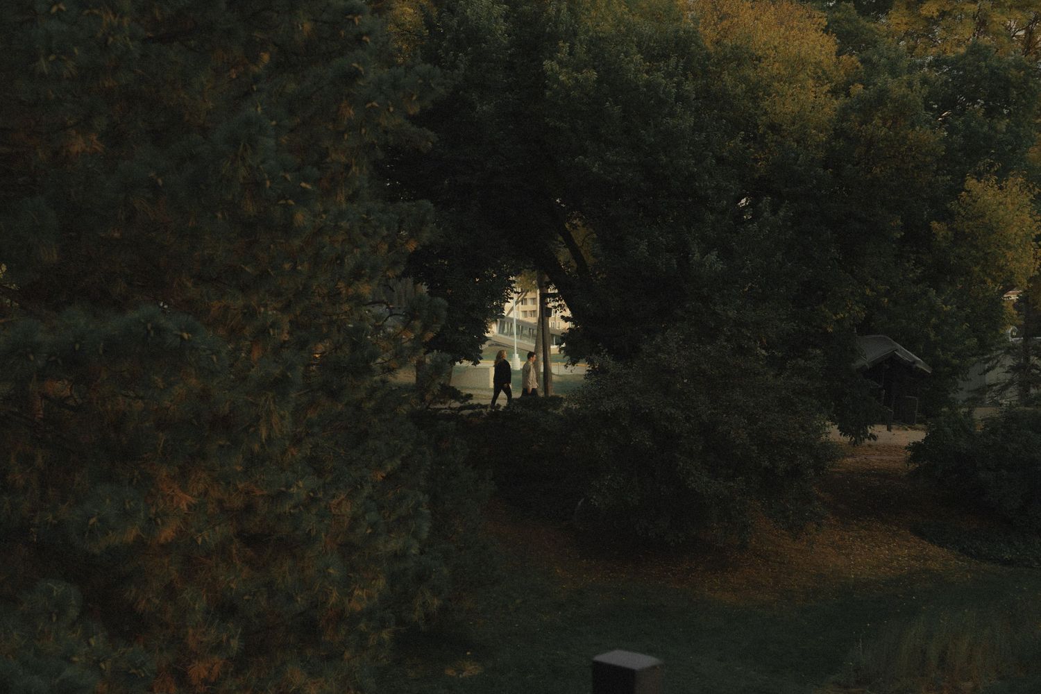 cinematic photographer, moody tones, storytelling photography, golden hour, emotional moments, natural light, editorial style, documentary w