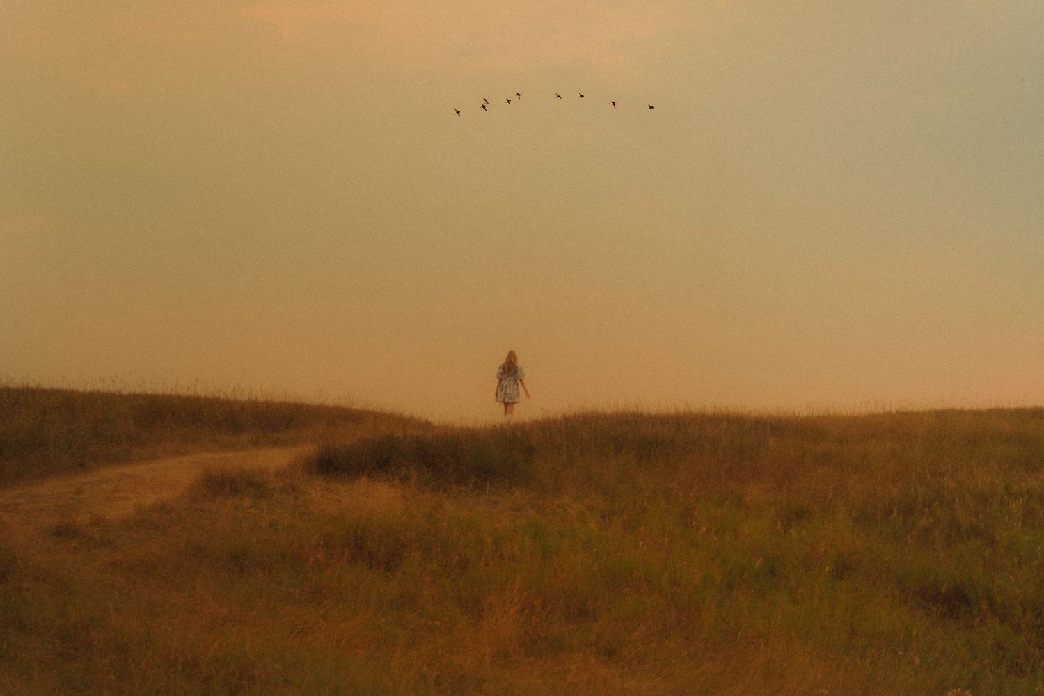 cinematic photographer, moody tones, storytelling photography, golden hour, emotional moments, natural light, editorial style, documentary w