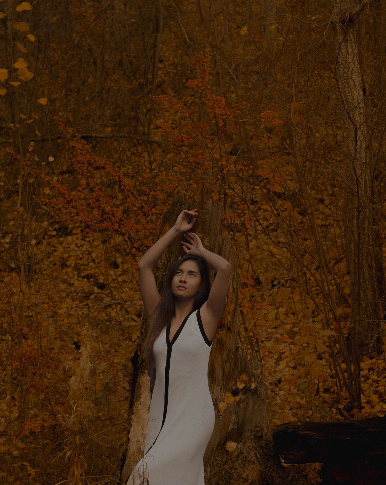 cinematic photographer, moody tones, storytelling photography, golden hour, emotional moments, natural light, editorial style, documentary w