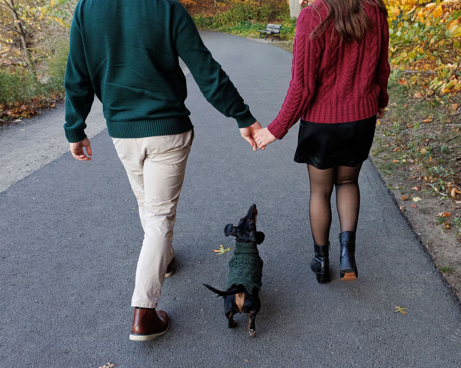 A couple walks their small black dog on a paved path during autumn with colorful fall foliage in the background.