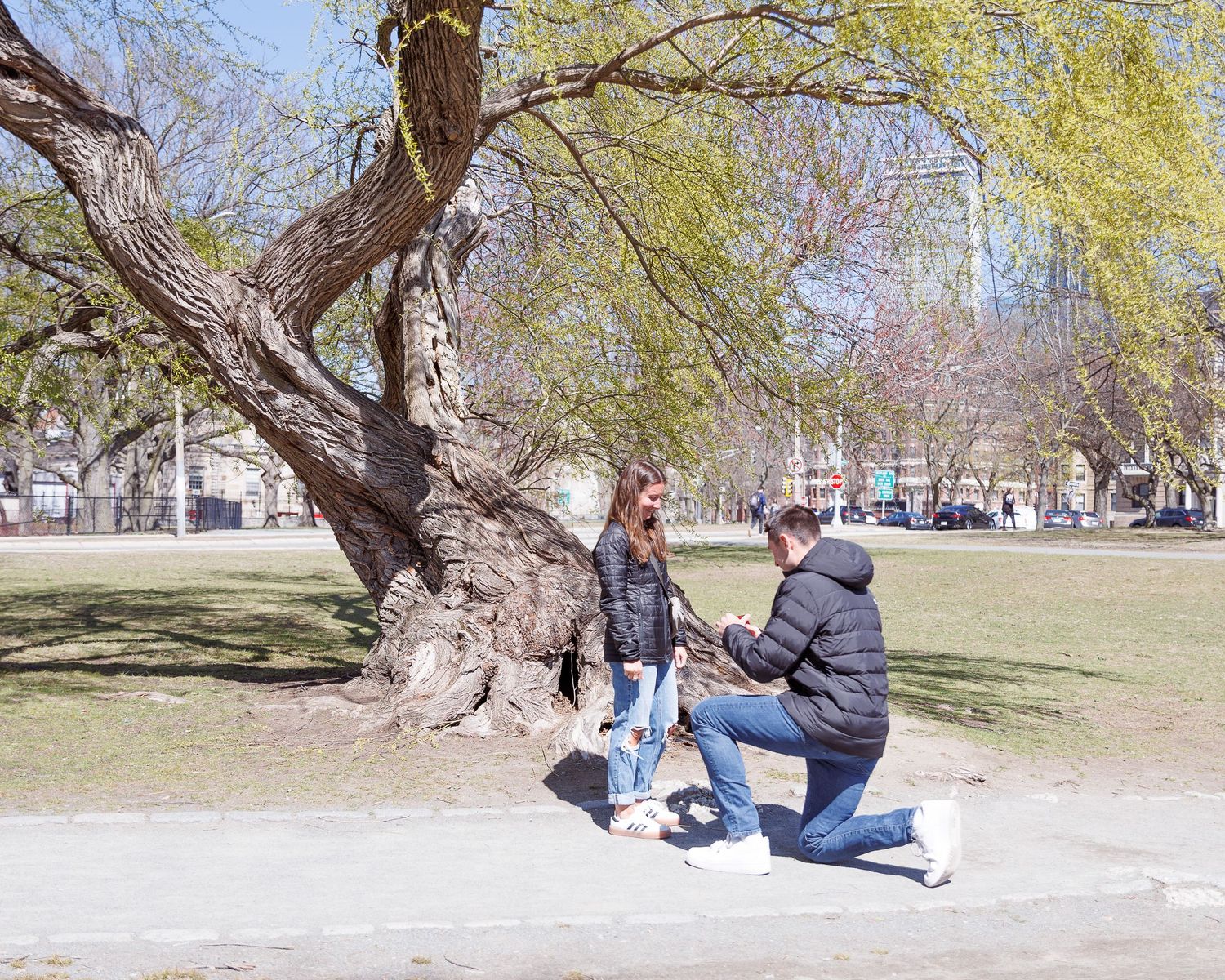 A surprise marriage proposal captured by a Boston wedding photographer at the Back Bay Fens, featuring a man on one knee under a budding spr