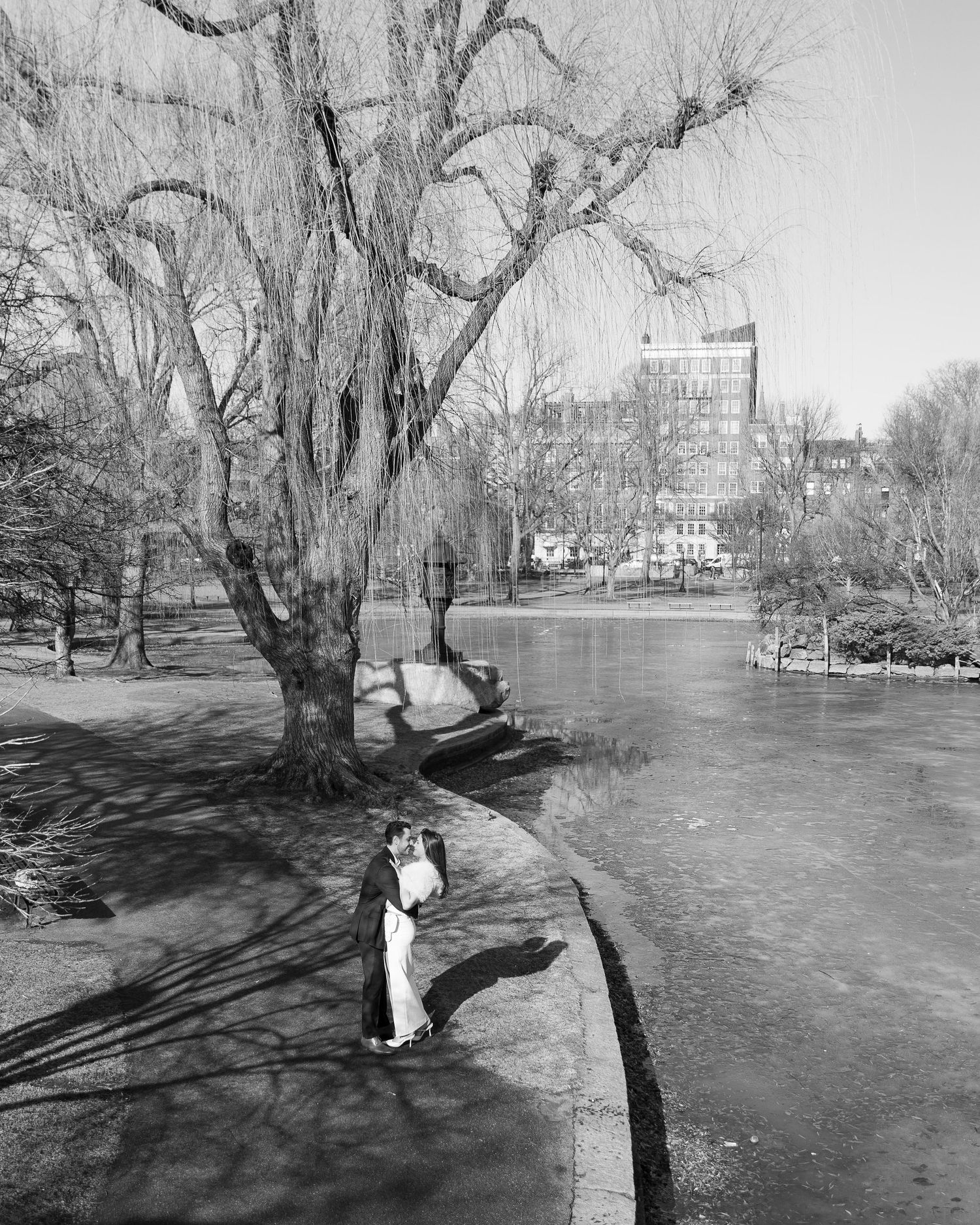 Black and white panoramic sequence of a snowy winter park landscape with bare trees casting long shadows.