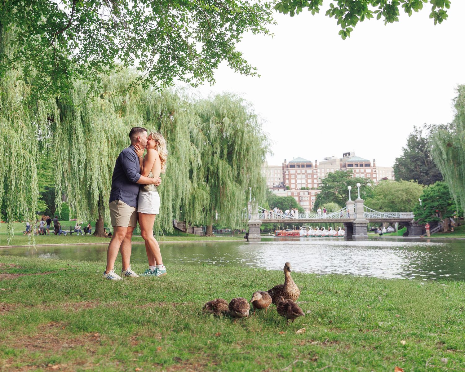 Couple kissing in Boston Public Garden by a pond with ducks on grass under willow trees.