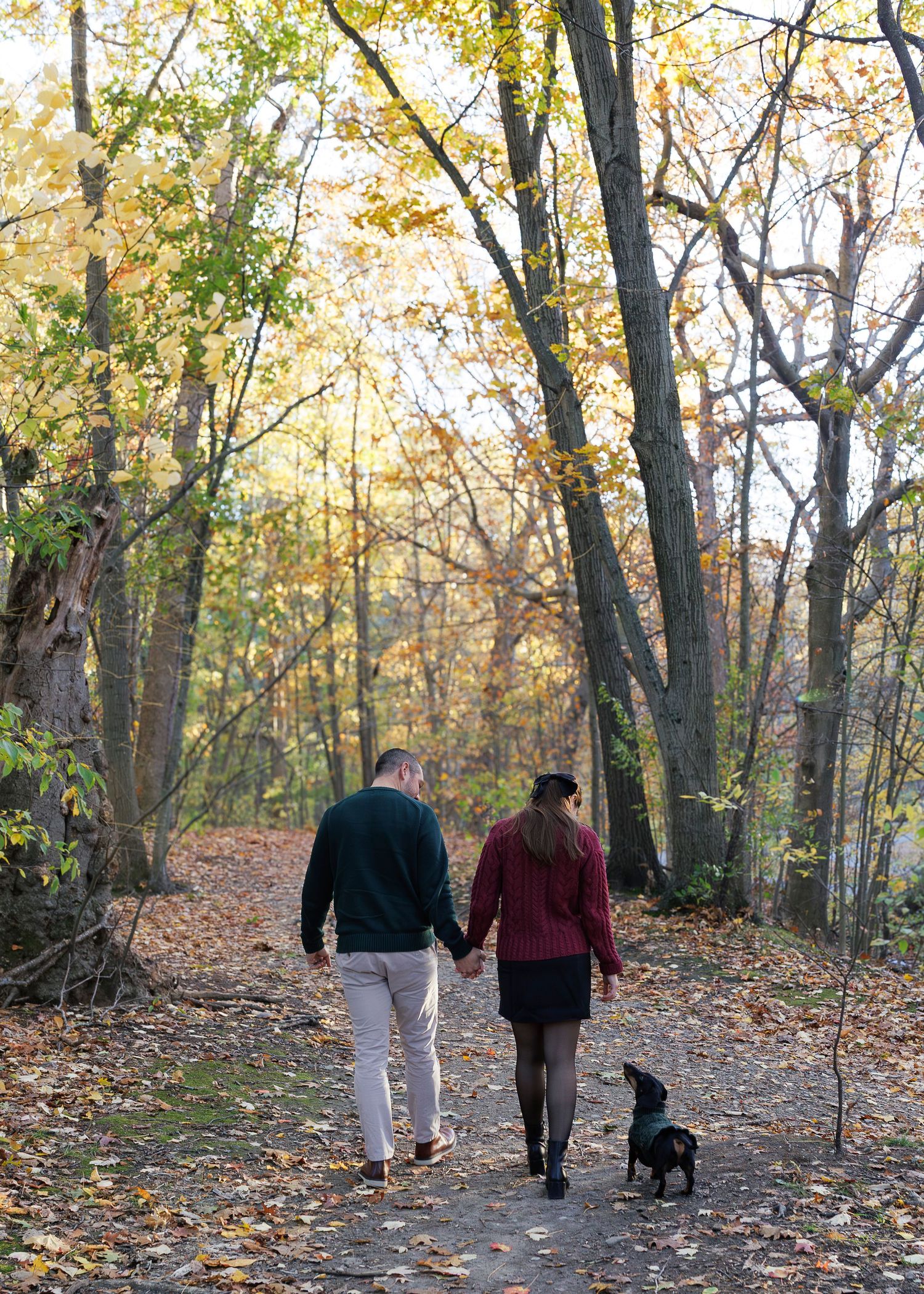 Couple holding hands walking a black dog on a leaf-covered autumn forest path surrounded by golden fall foliage.