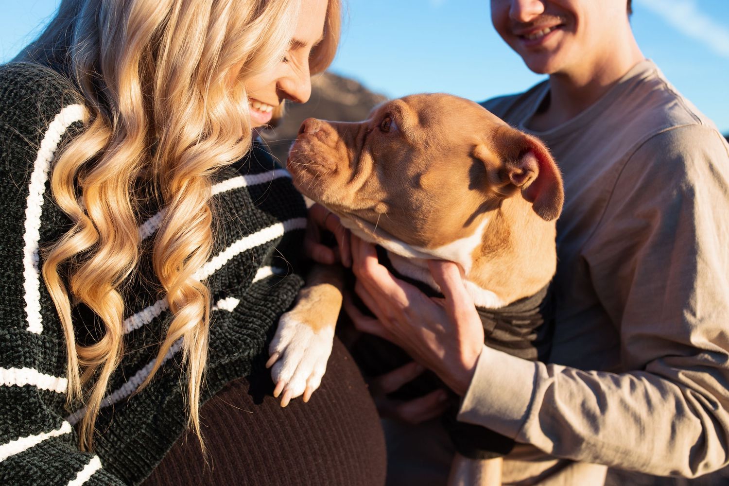 Close-up sequence of tender romantic moments captured in natural lighting.