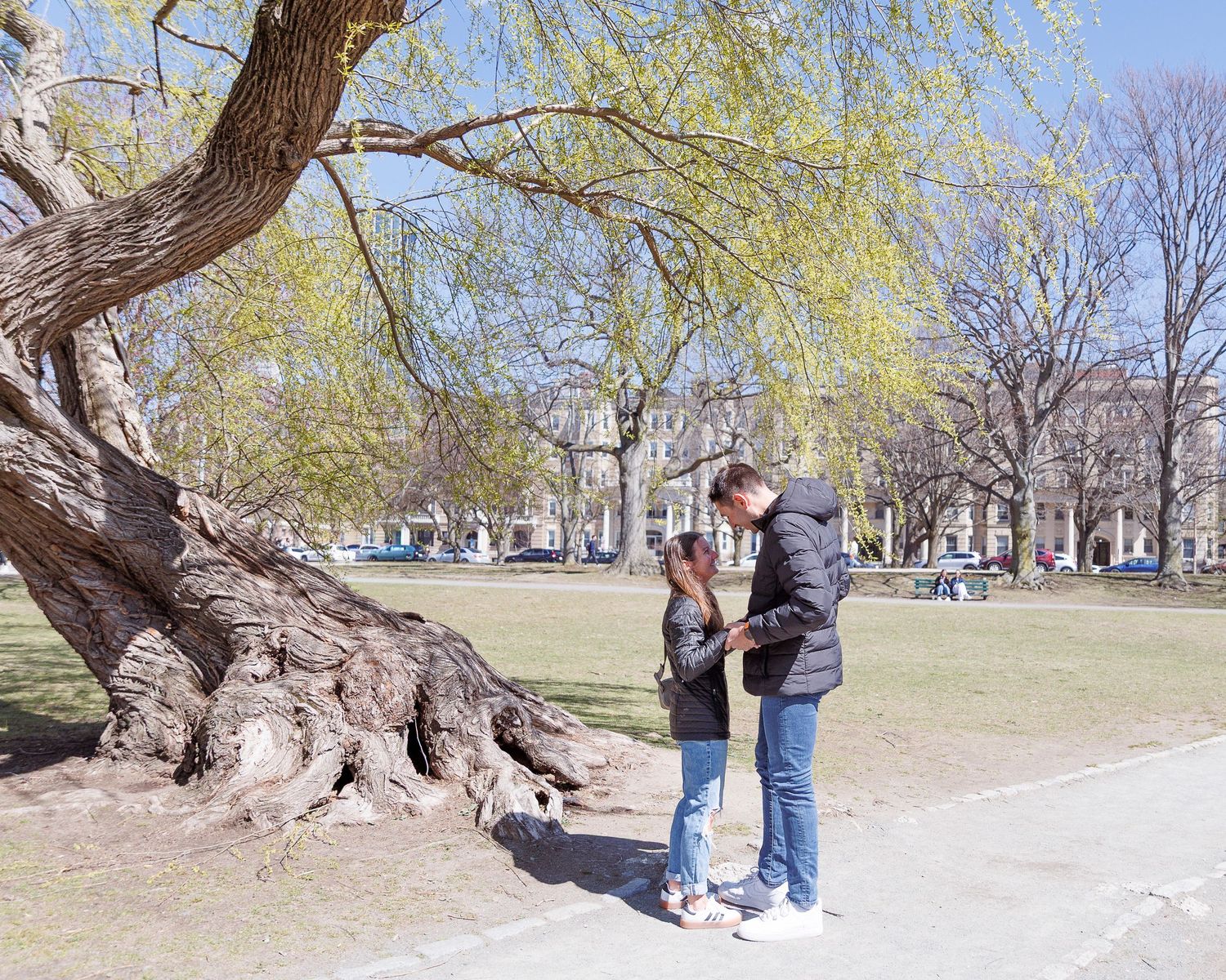 A surprise marriage proposal captured by a Boston wedding photographer at the Back Bay Fens, featuring a man on one knee under a budding spr