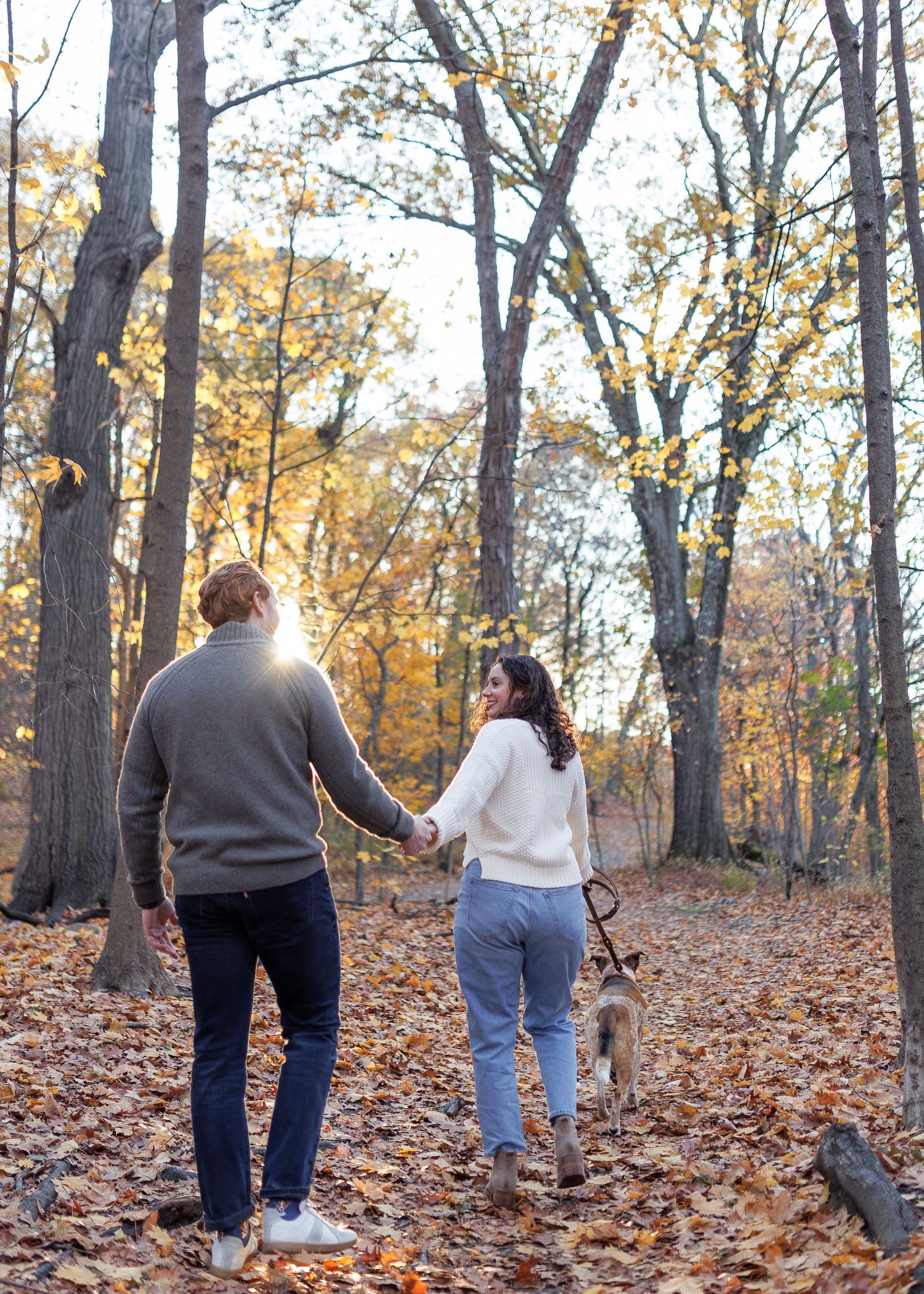 Couple holding hands walking a dog through a sunlit autumn forest with golden leaves covering the ground.