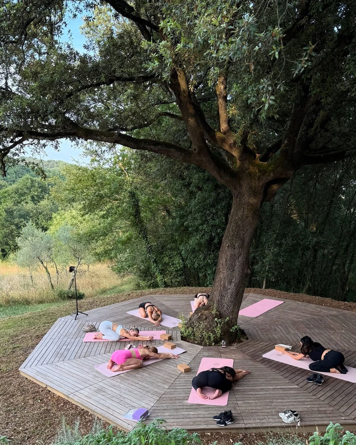 Group yoga class on outdoor wooden deck under large tree surrounded by lush green landscape.