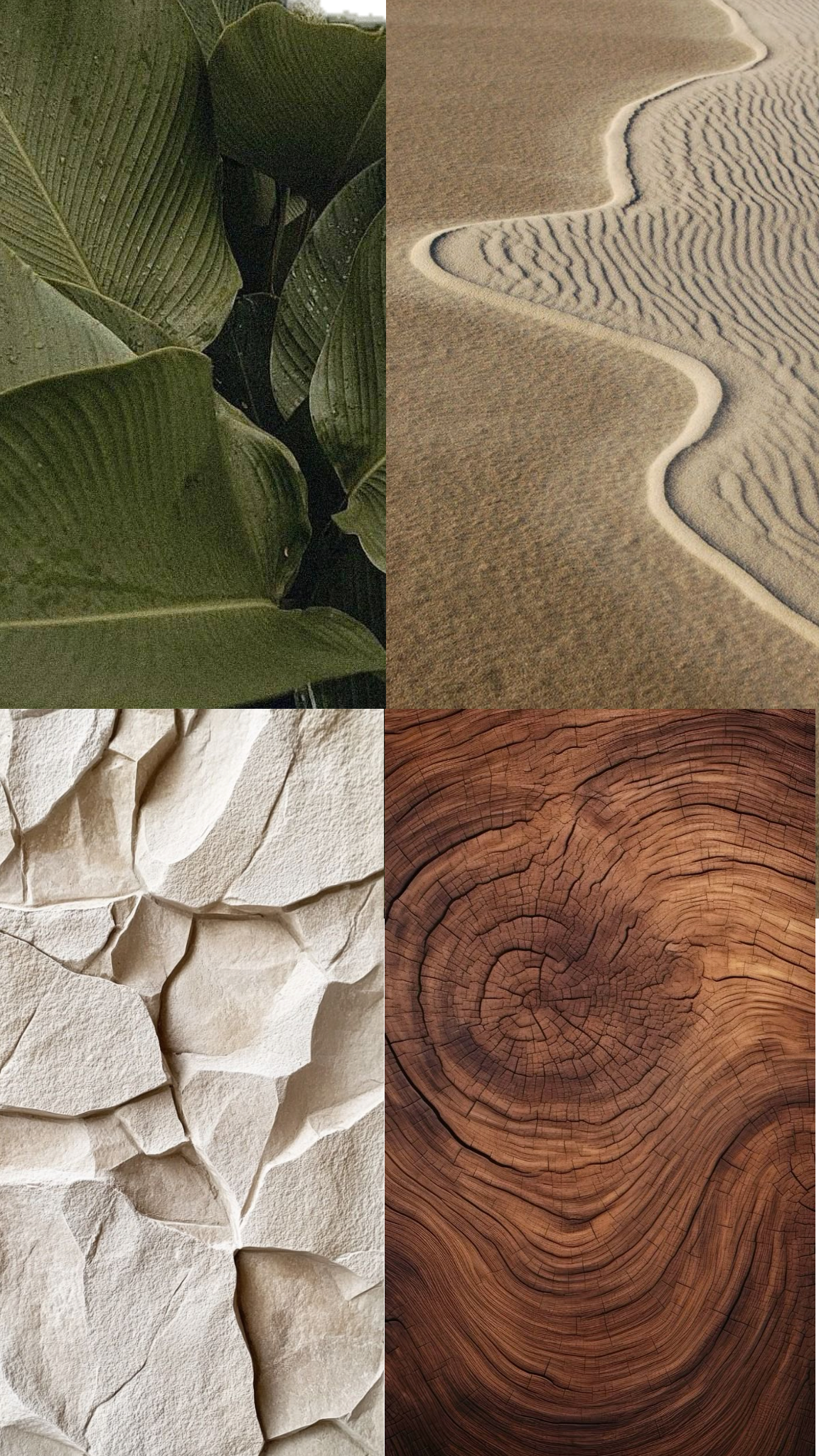 Natural textures collage showing sand ripples, leaves, wood grain and cracked surfaces.