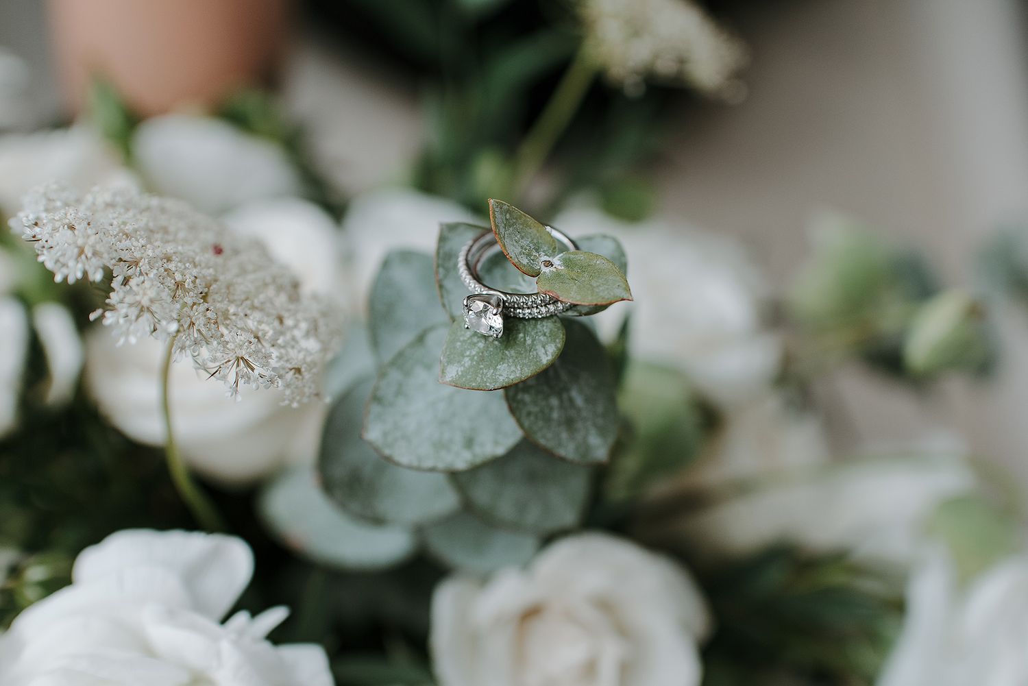 A delicate arrangement of white roses and eucalyptus leaves creates an elegant wedding bouquet.