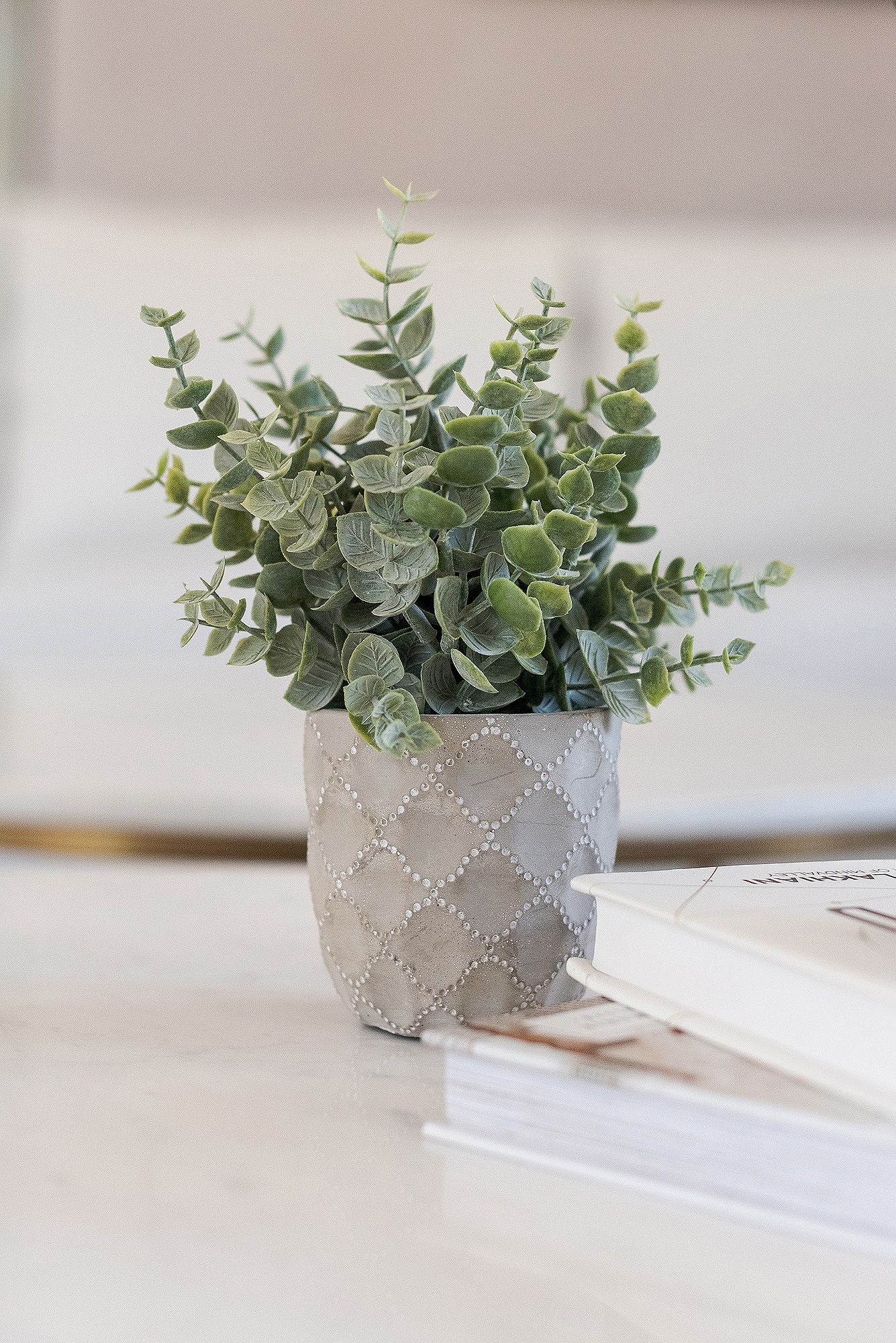 Decorative gray ceramic planter with artificial eucalyptus stems sits atop white surface with books.