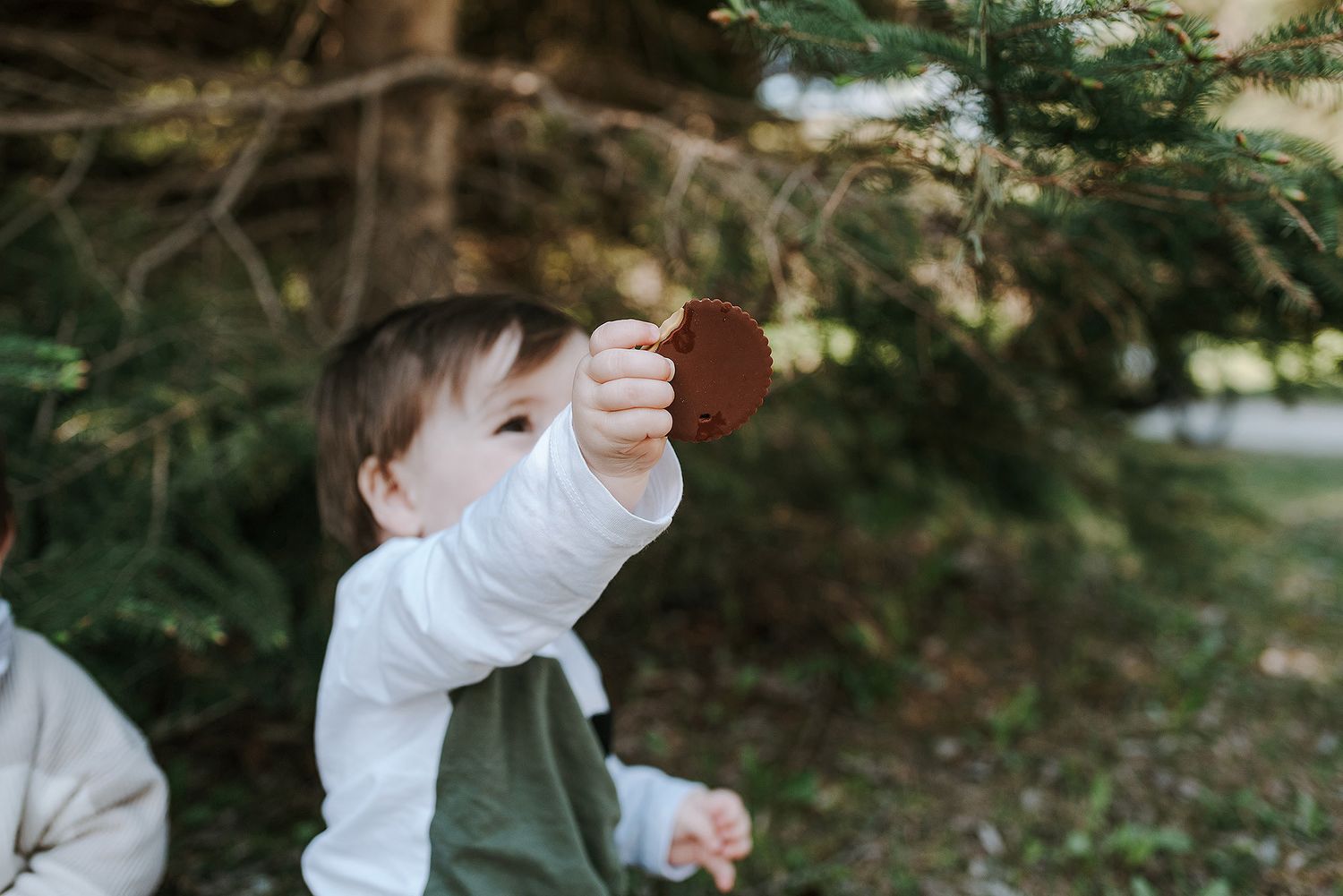 Child in striped outfit sitting on ground near evergreen trees.