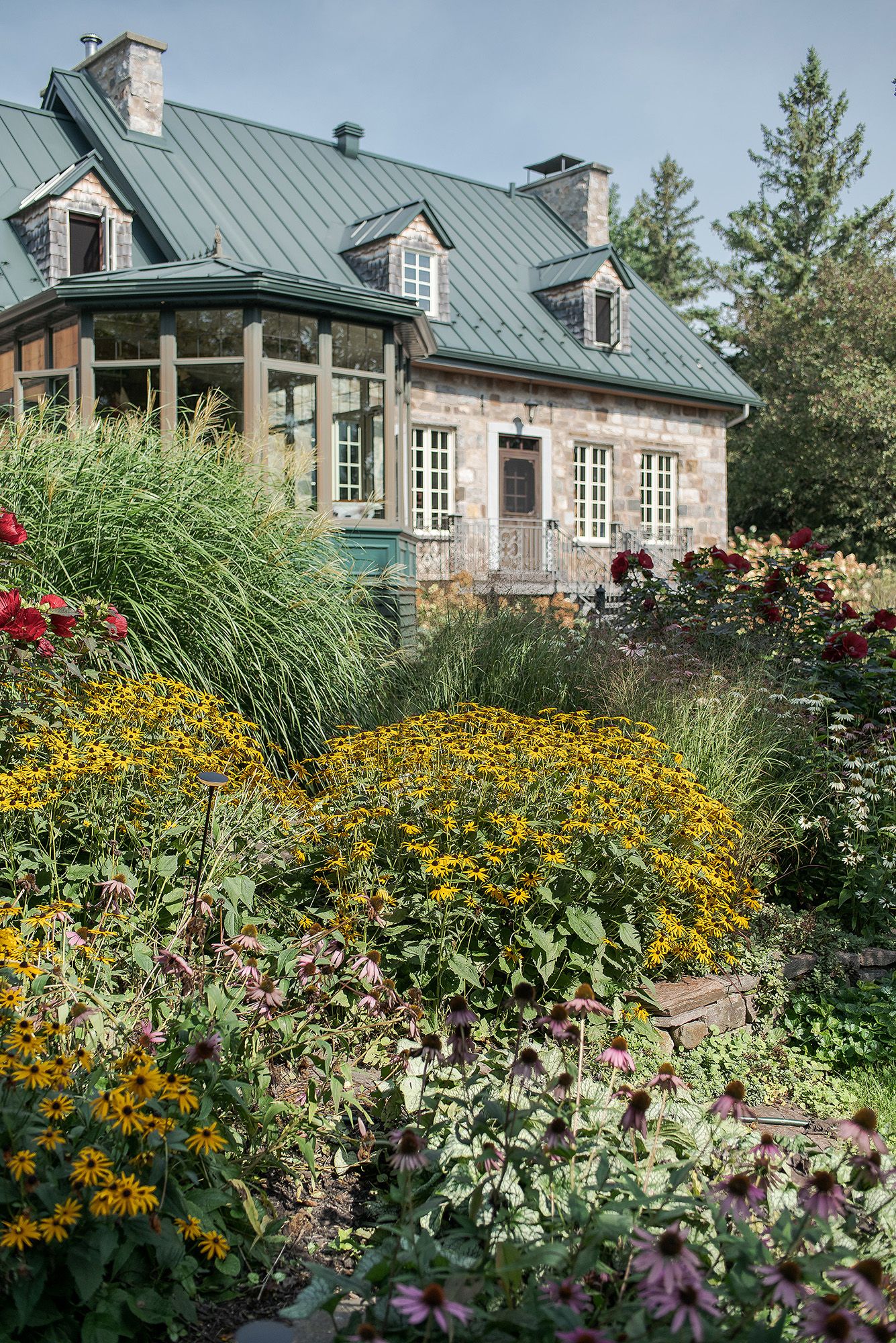 Beautiful garden landscape with blooming yellow rudbeckia and purple coneflowers against a stone house with green metal roof.
