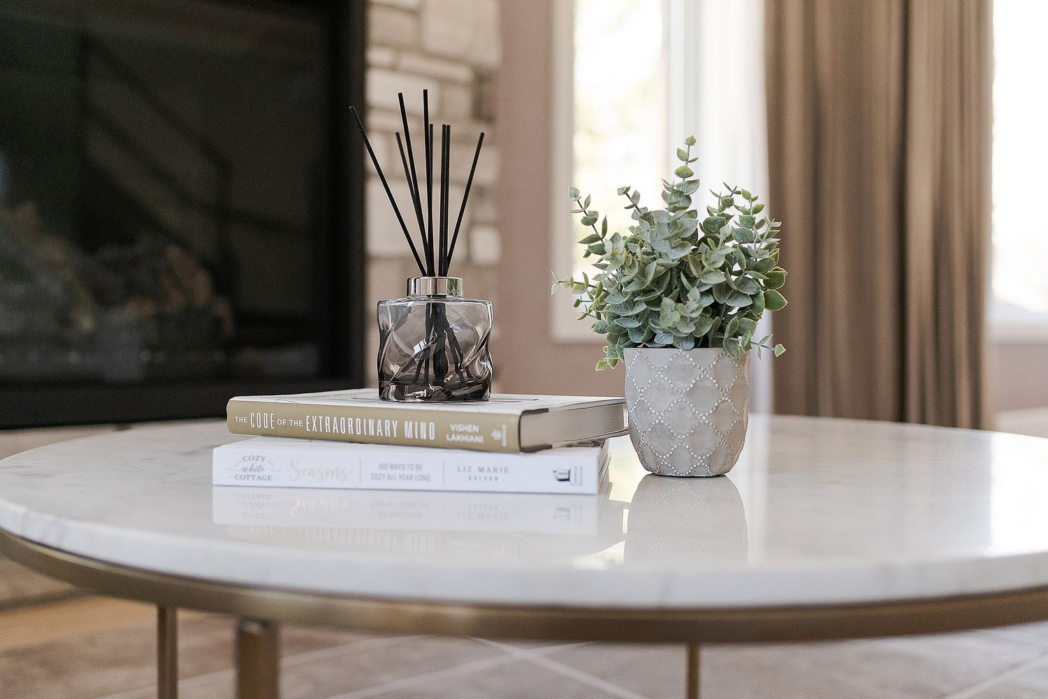 A minimalist coffee table styled with neutral books, a reed diffuser, and a small potted eucalyptus plant.