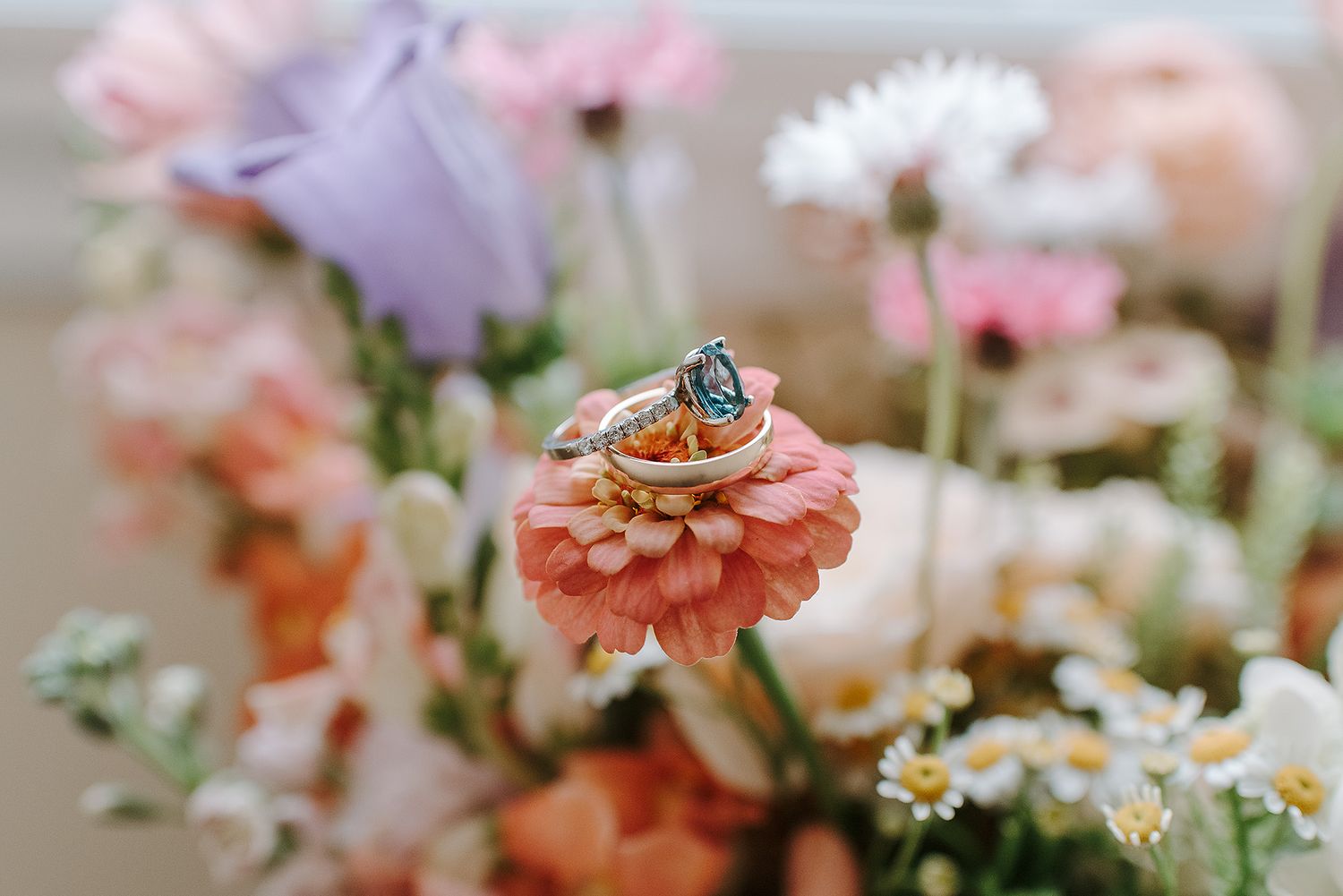 Delicate coral and peach flowers with tiny blue butterflies in a dreamy garden setting create a romantic atmosphere.